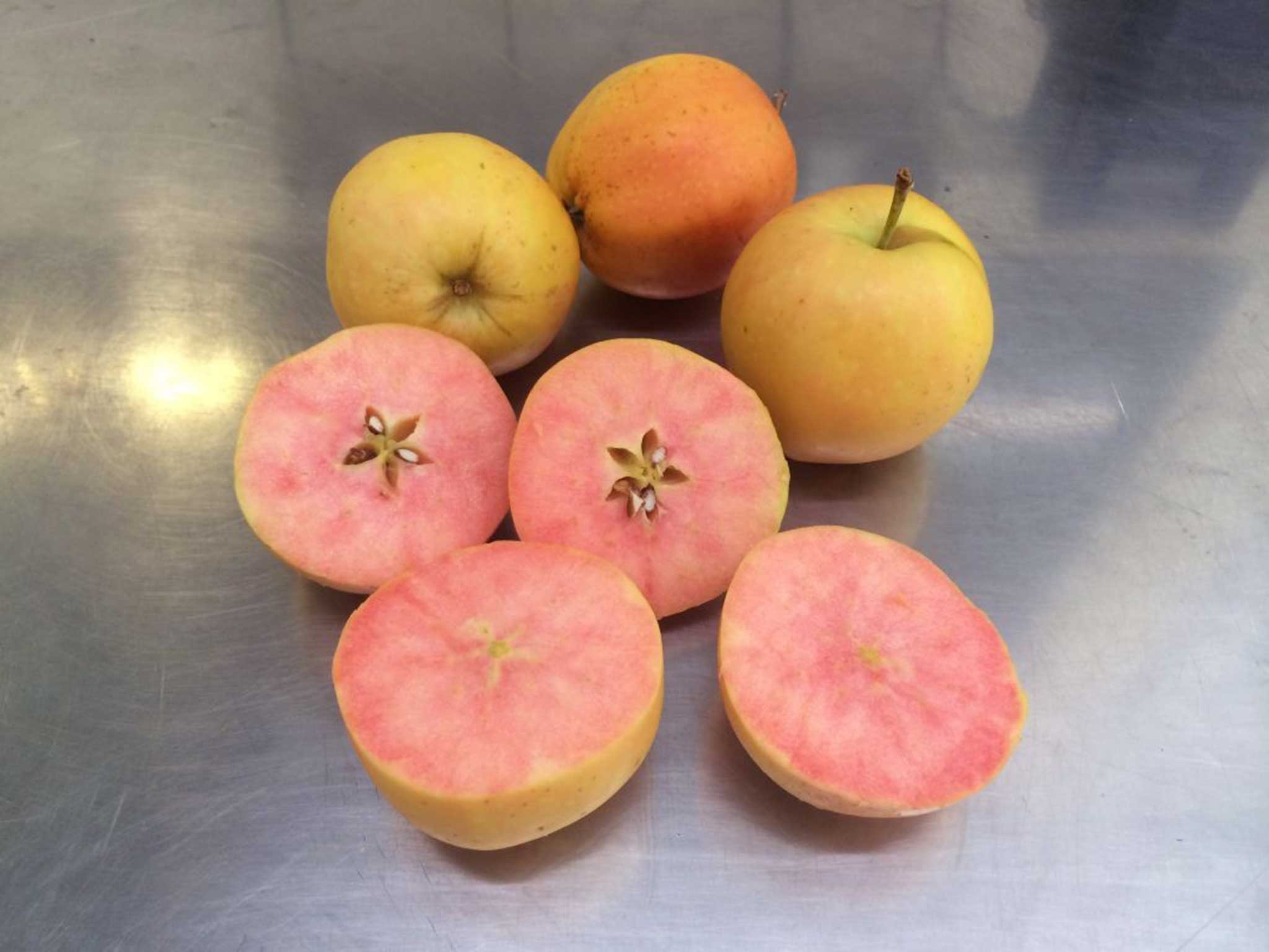 What the new apples will look like