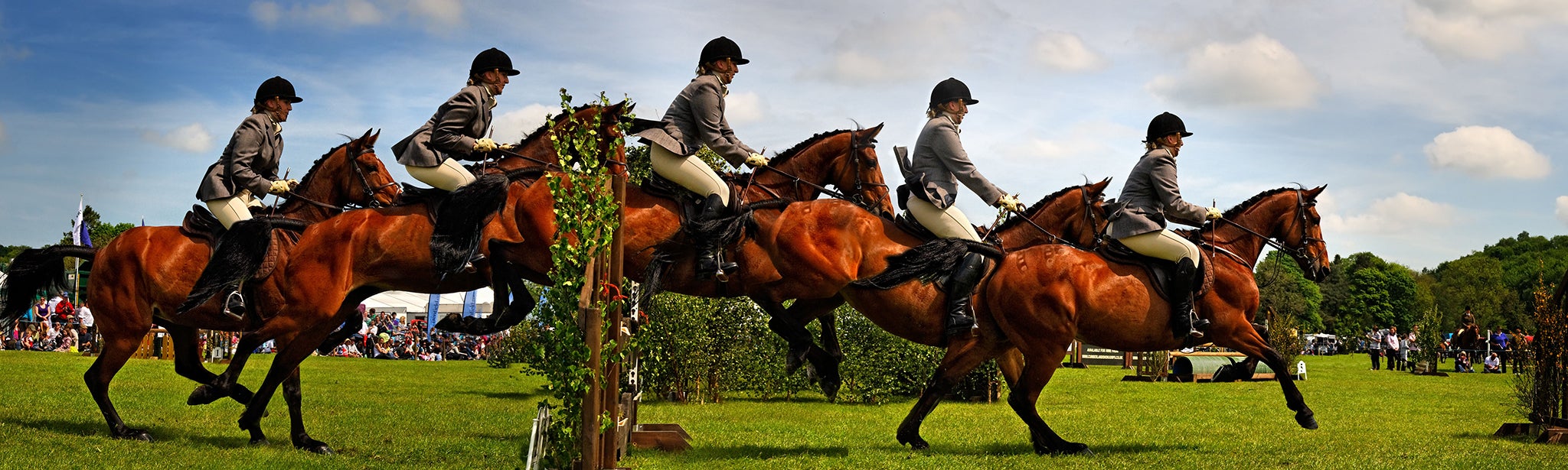 Leaps and bounds: several shots of one horse jumping
