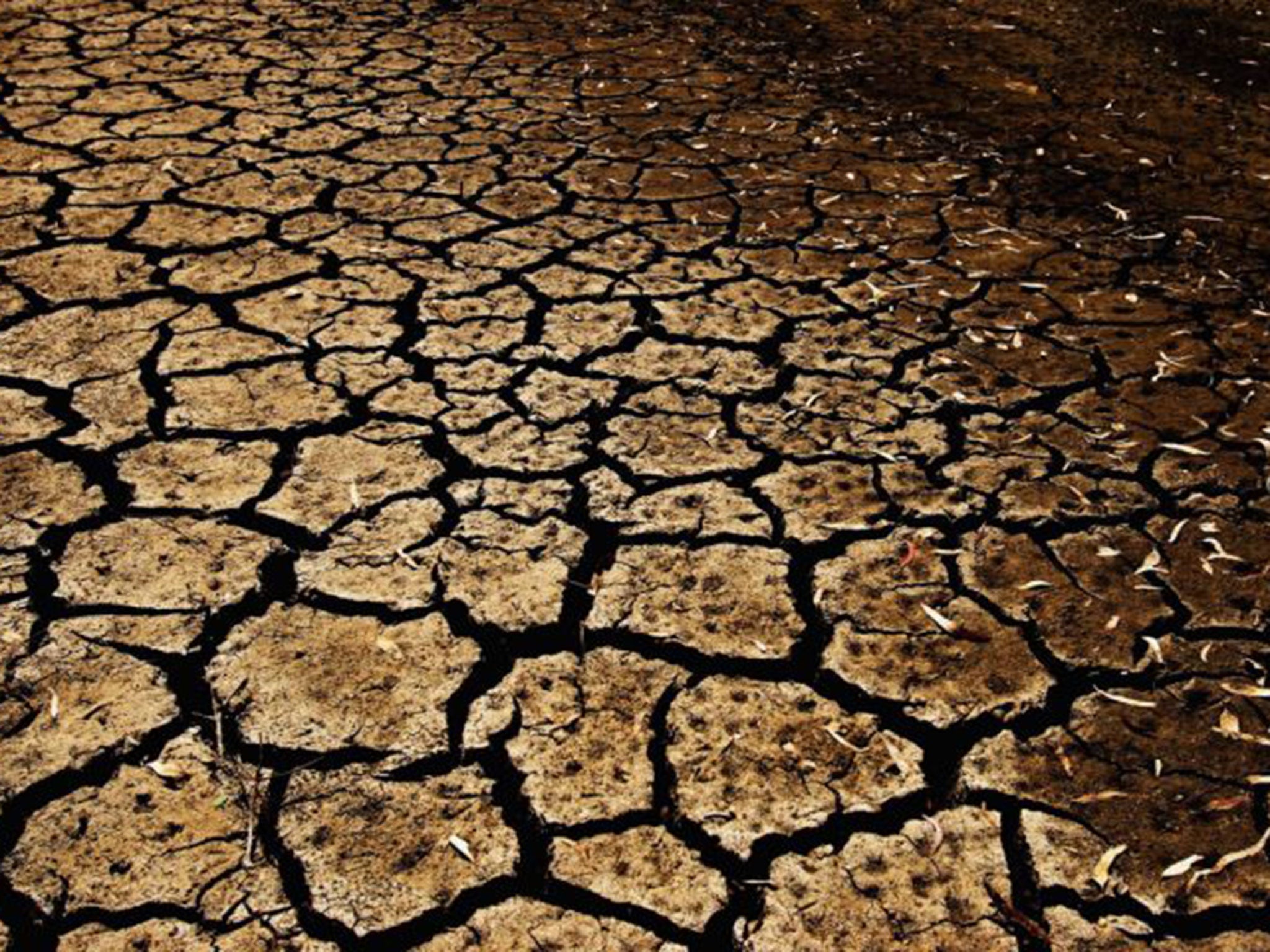 Forbes dam in New South Wales in 2006, during Australia’s 10-year drought