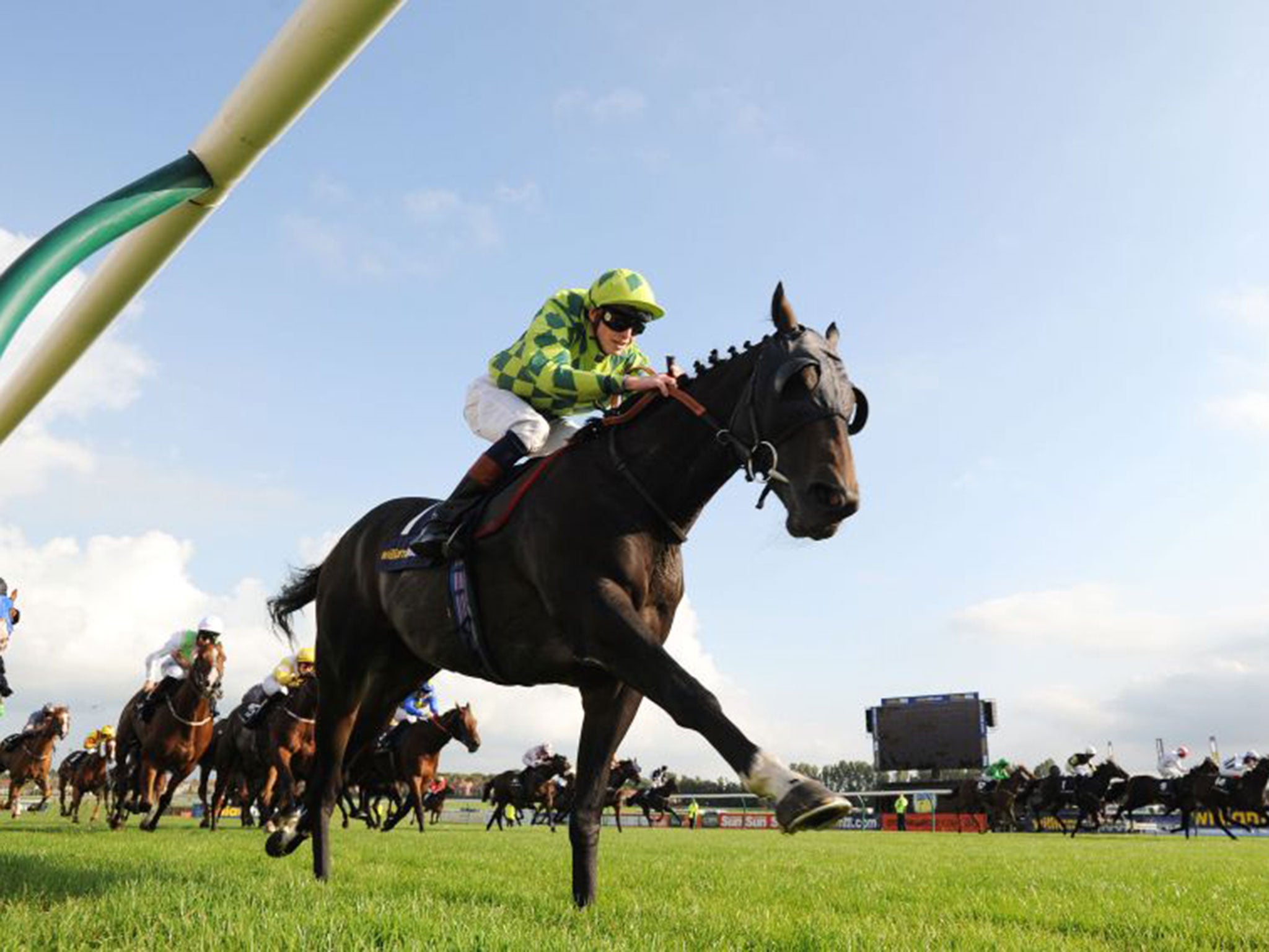 Ayr’s king: Louis The Pious, ridden by James Doyle, strides away up the ‘golden highway’ to win the Ayr Gold Cup