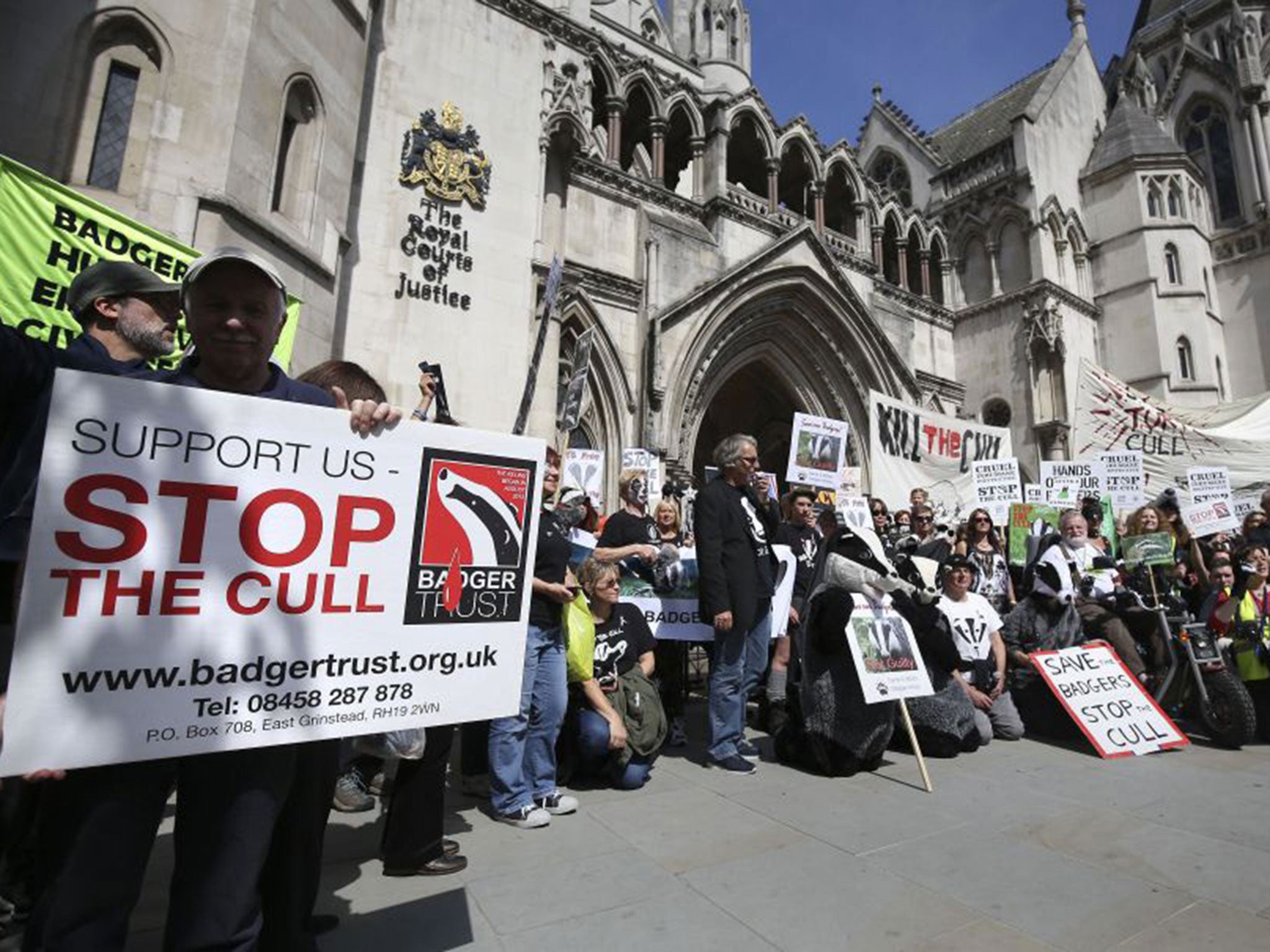 Protesters from The Badger Trust campaigned over the legality of badger culls outside the Royal Courts of Justice earlier this month