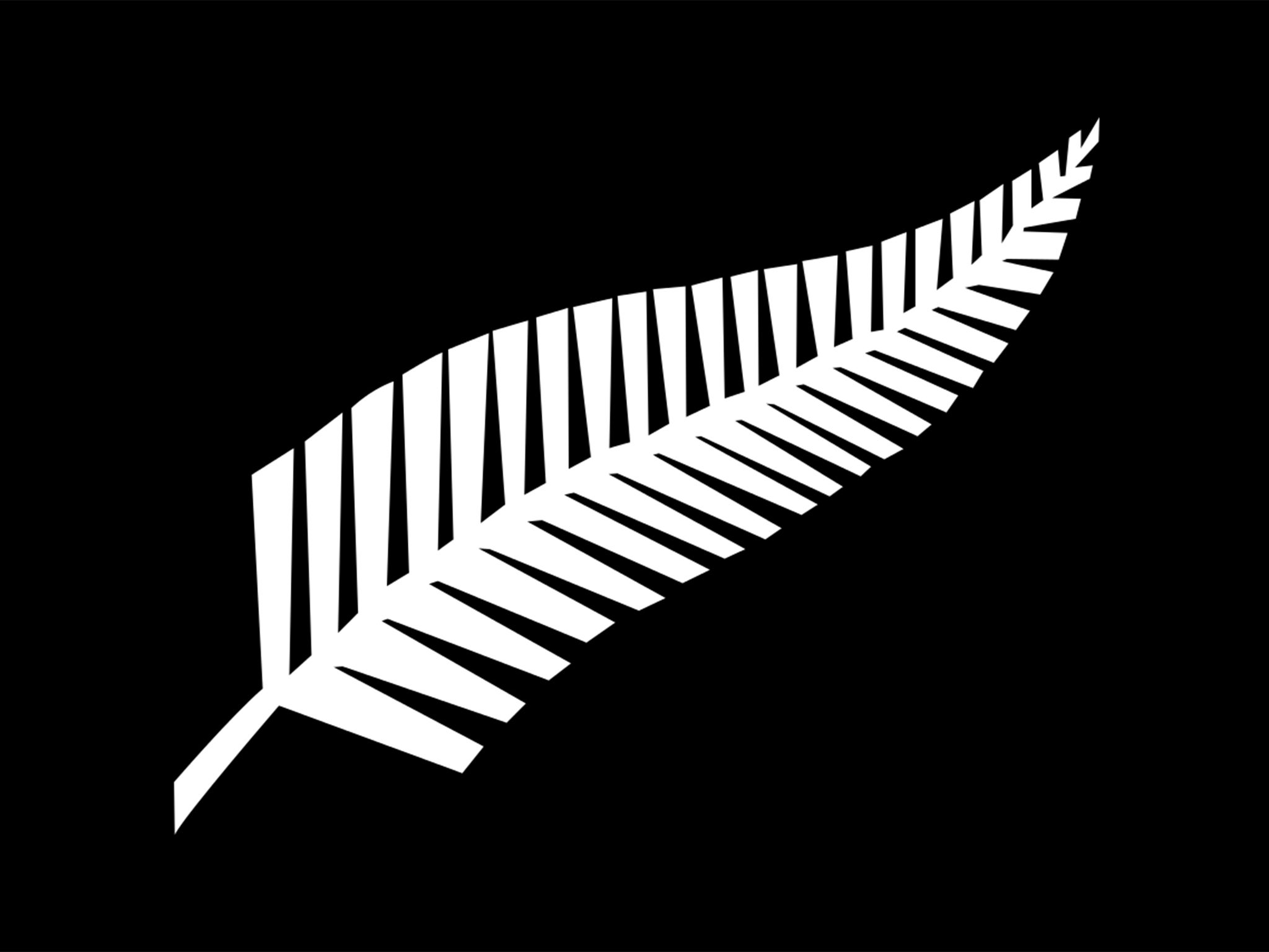 Silver fern flag