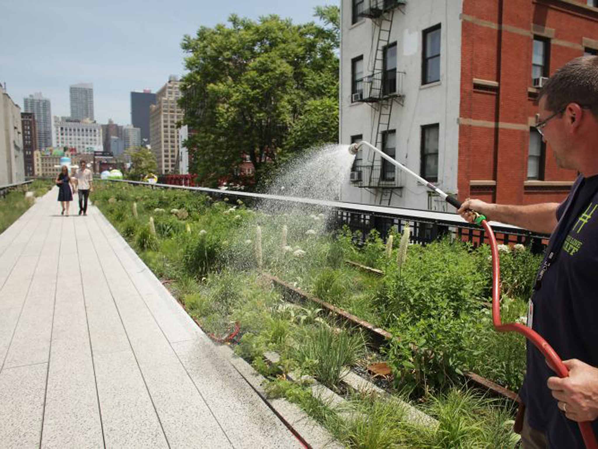 The third and final section of New York City's popular High Line park – The High Line at the Rail Yards – is now open