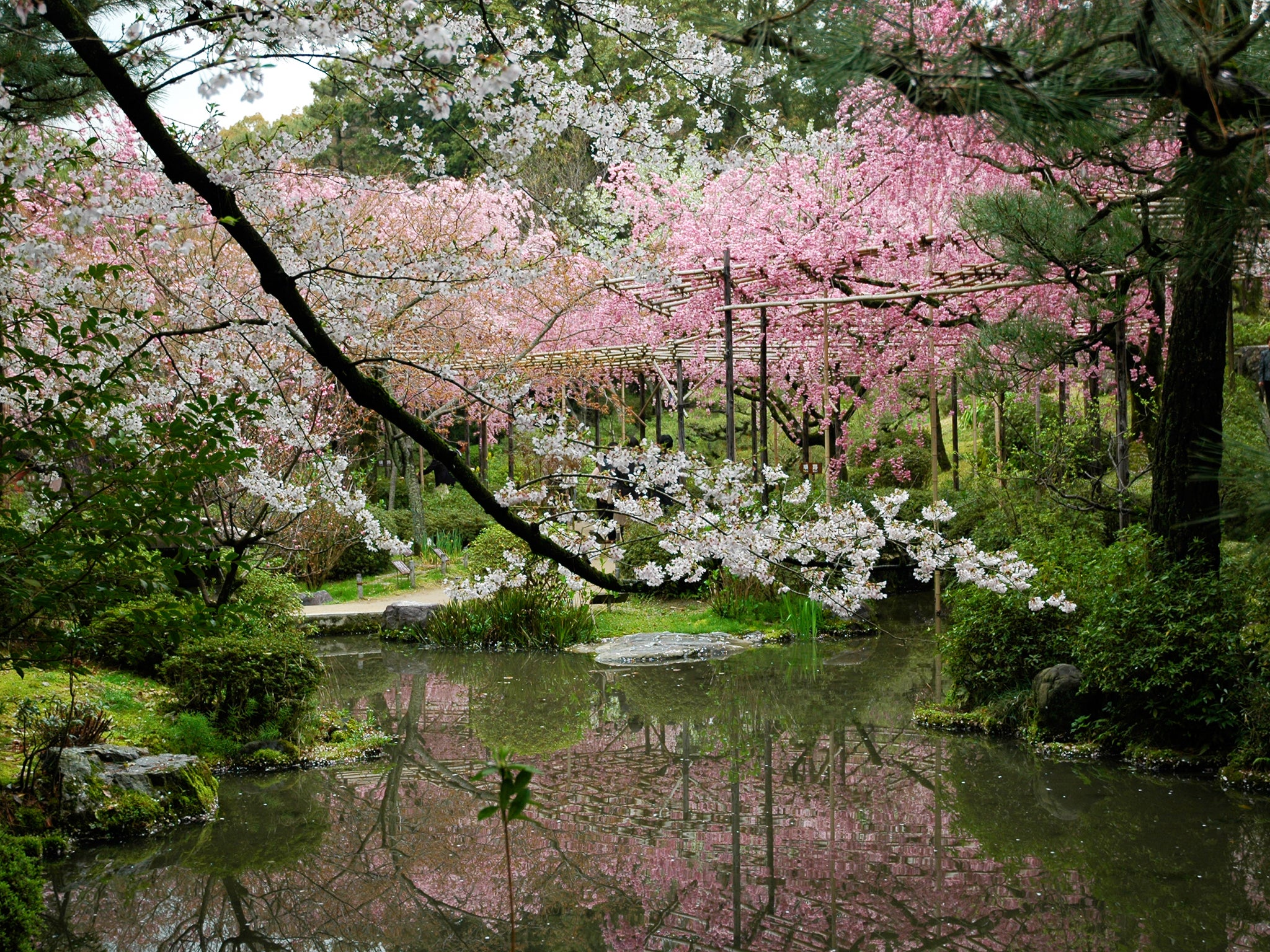 The historic city of Kyoto boasts delicate gardens full of cherry blossoms which make the ideal backdrop for all those couples selfies