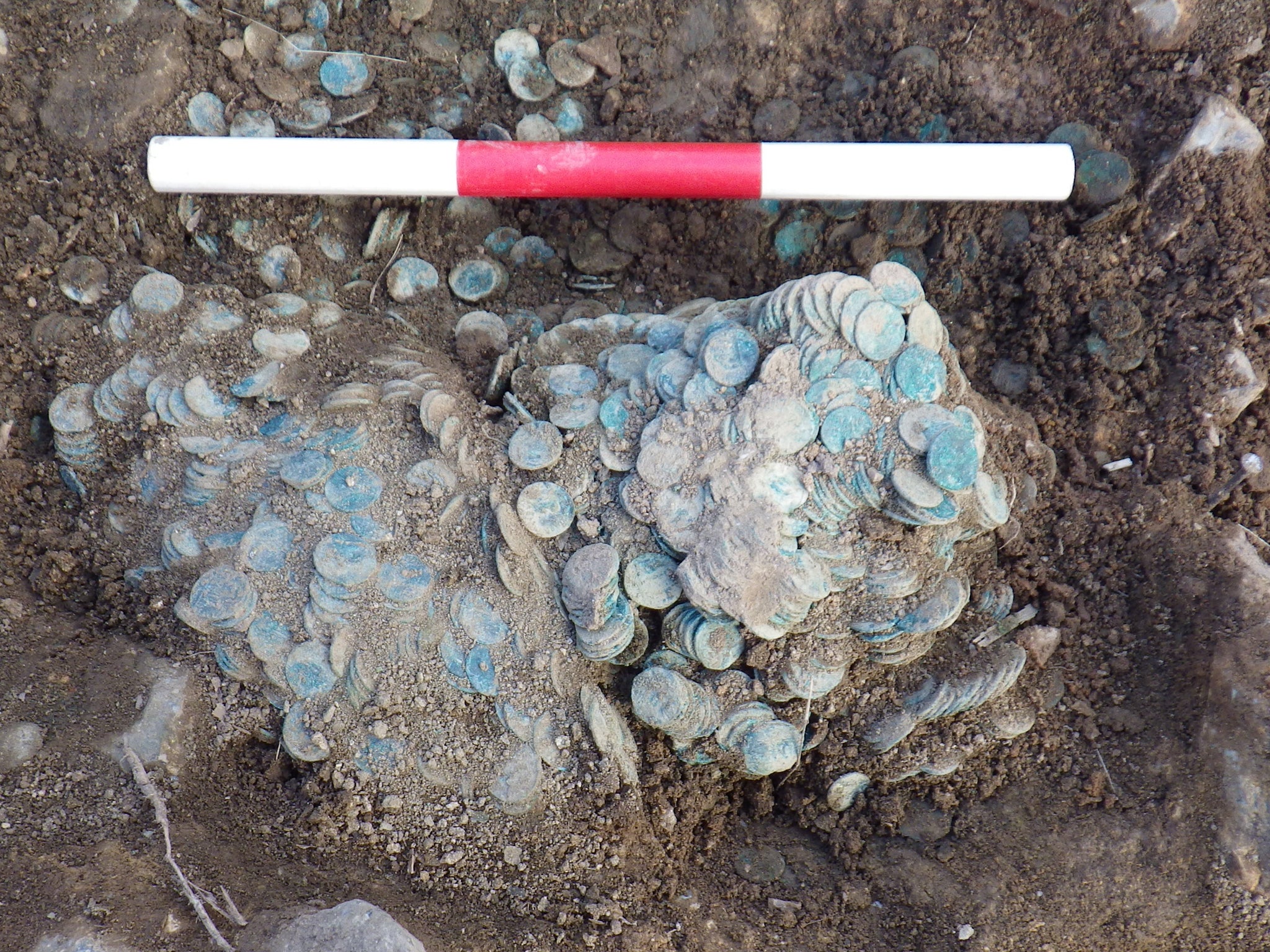 A cluster of coins that were discovered