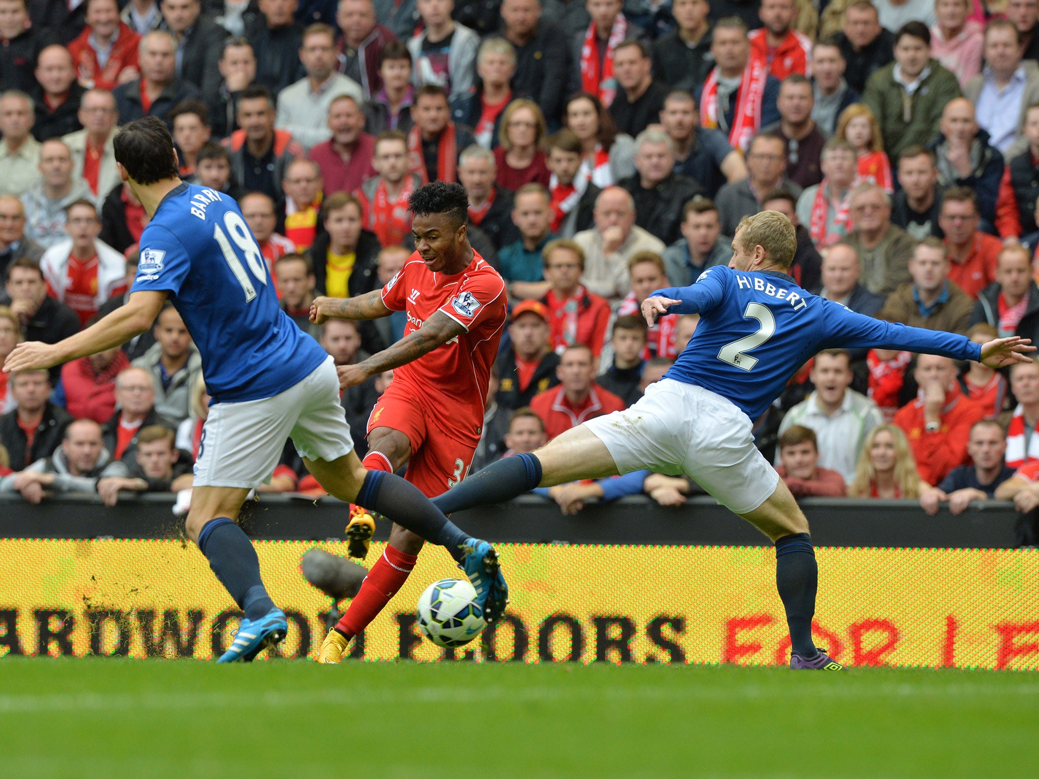 Tony Hibbert