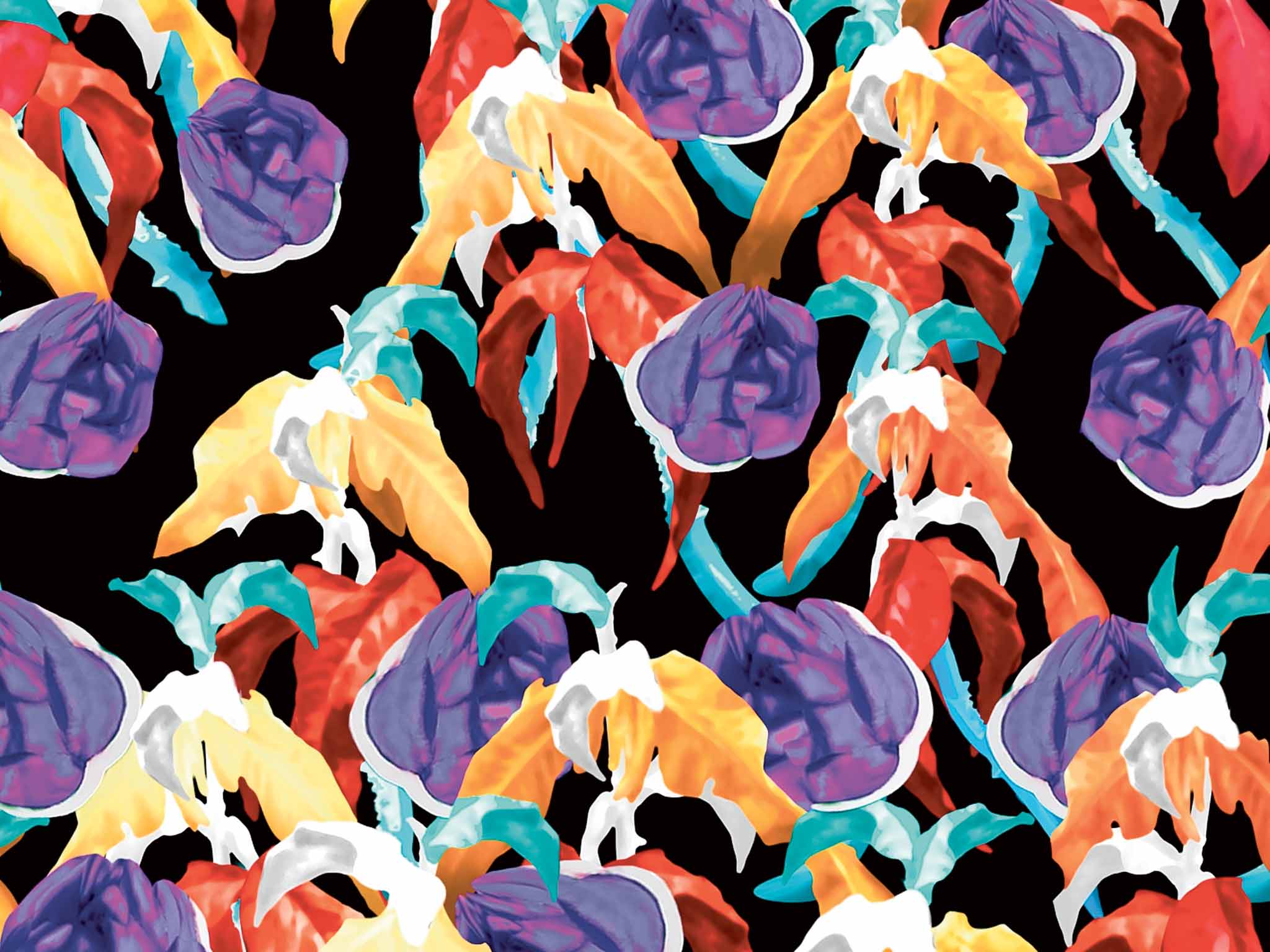 The Peter Pilotto label has garnered worldwide acclaim and an ever-expanding audience for their kaleidoscopic graphic designs