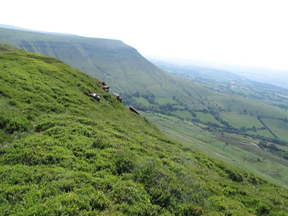 The view of Golden Valley