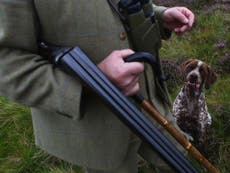 Grouse shooting 'is warming planet' as peatlands burned to improve