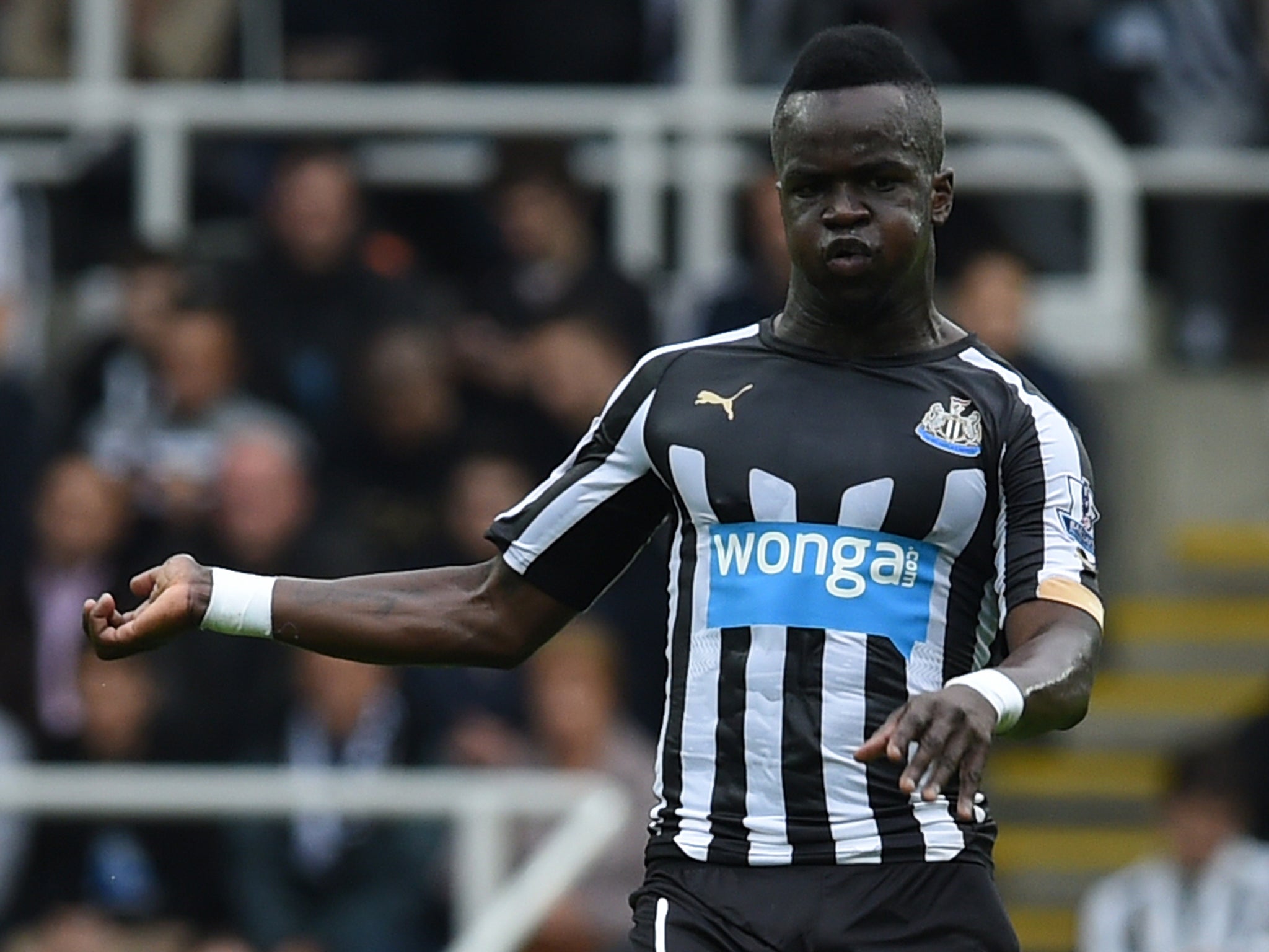 Cheik Tiote