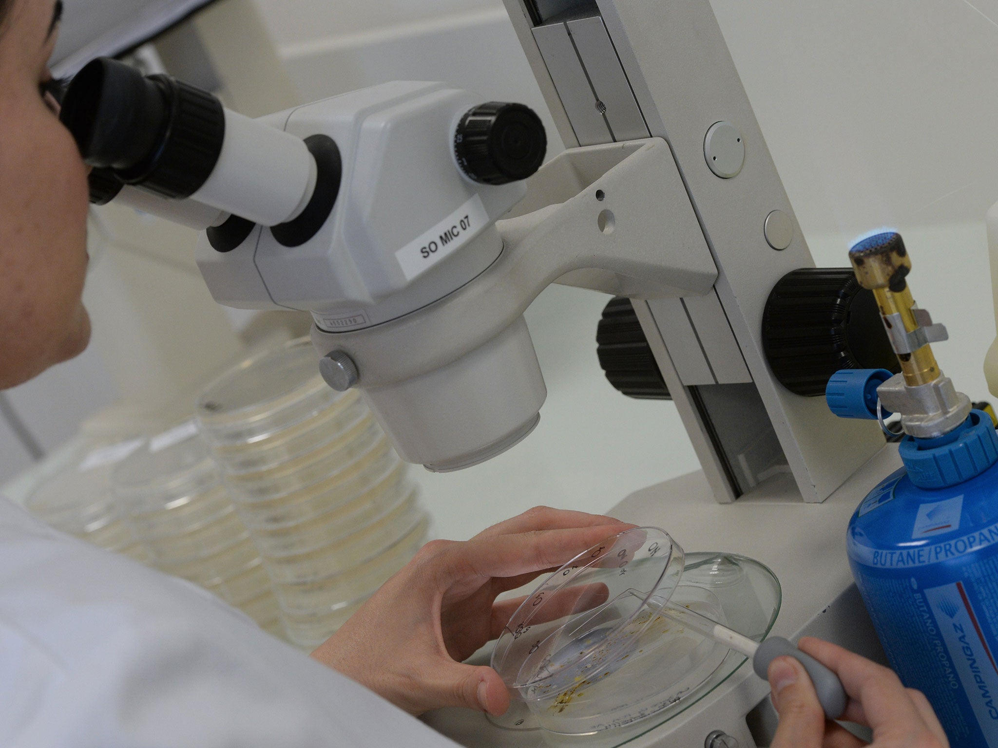 A researcher looks at a sample in a lab