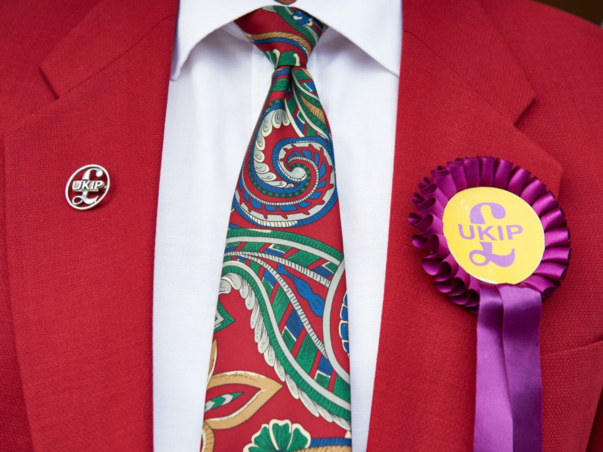 A Ukip canvasser (Micha Theiner)