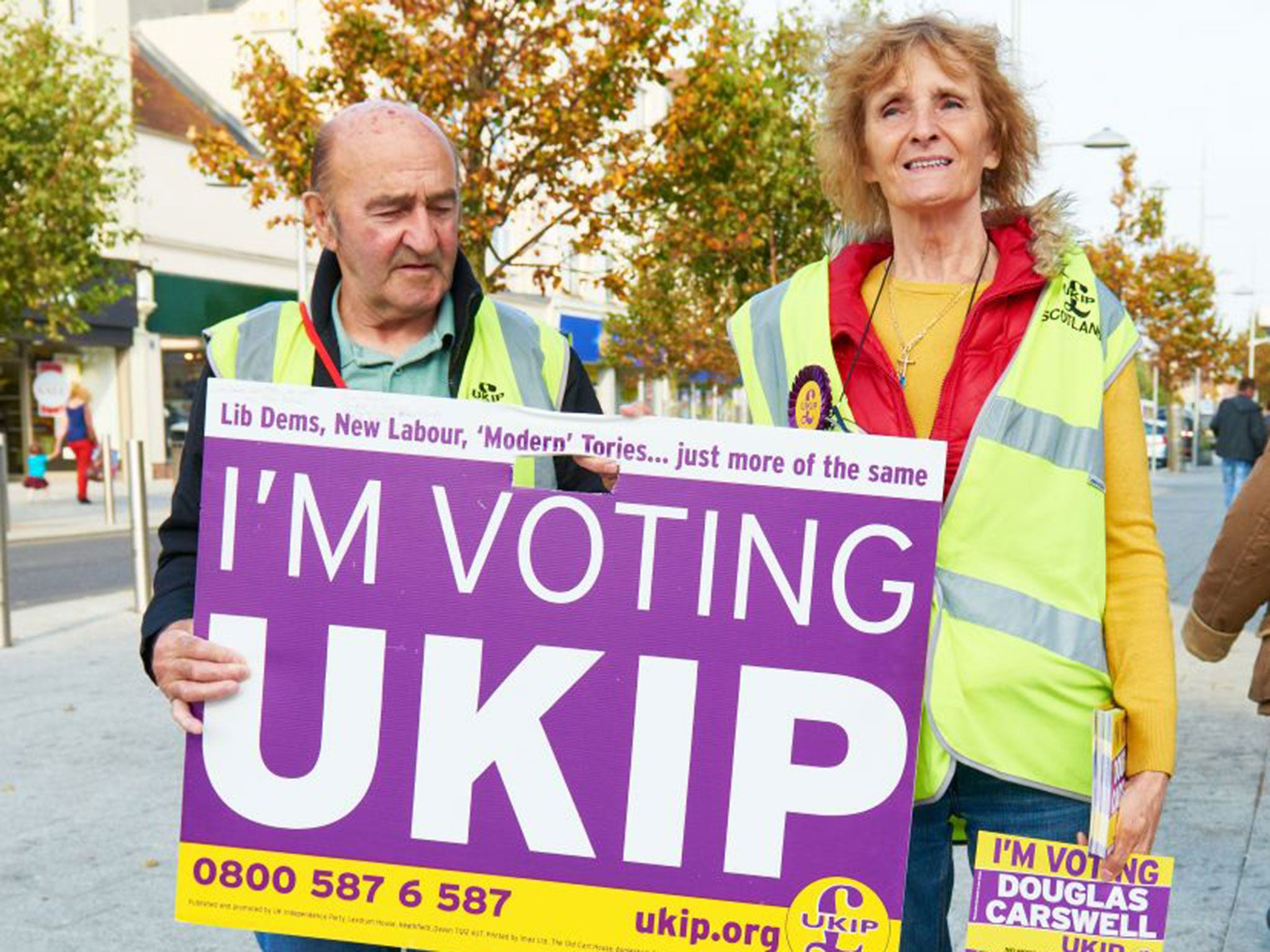 Ukip activists from Scotland