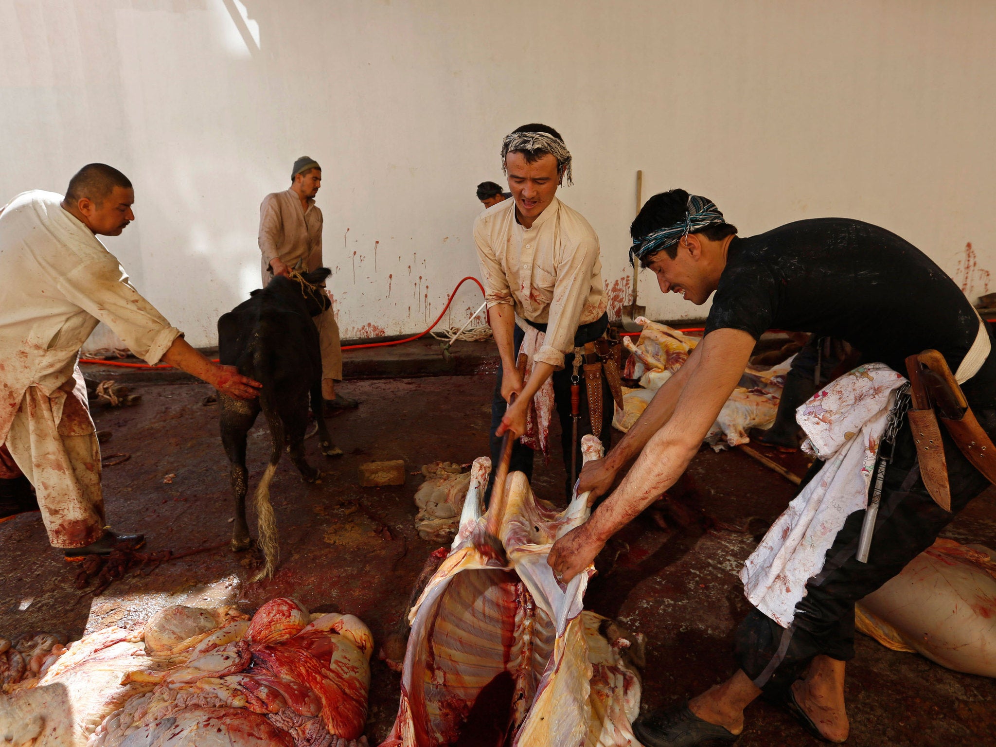 Afghan butchers slice meat off cows on the first day of Eid al-Adha in Kabul