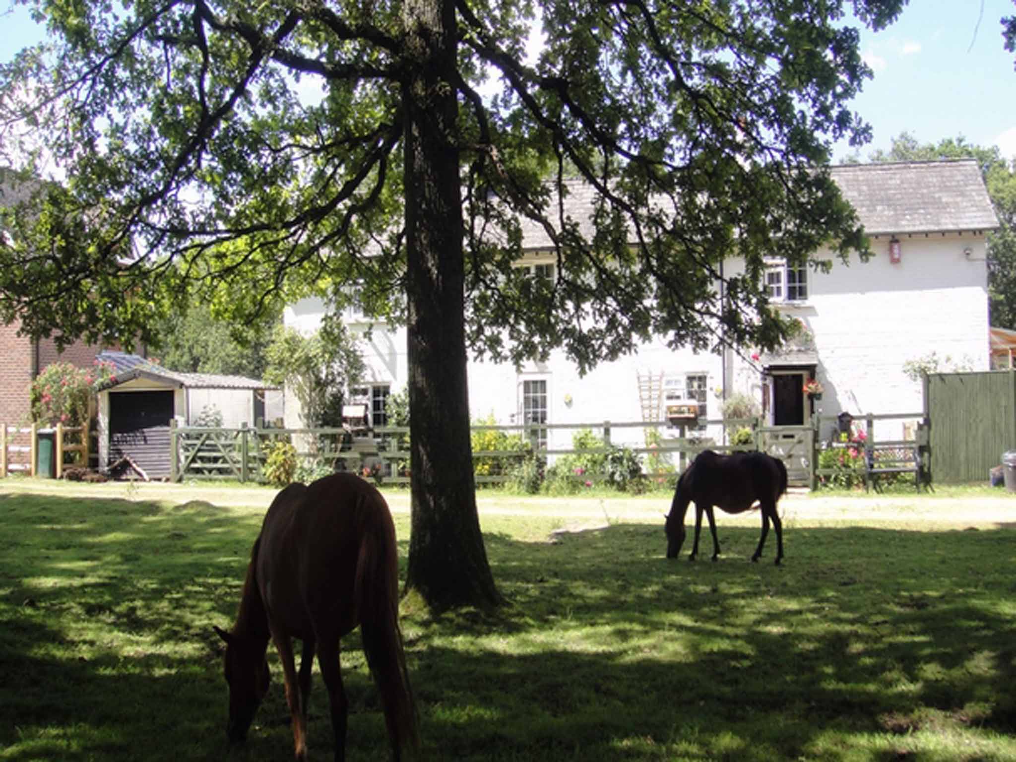 Three bedroom cottage for sale, Beaulieu Road, Brockenhurst SO42 in The New Forest. On for £399,950 with Spencers.