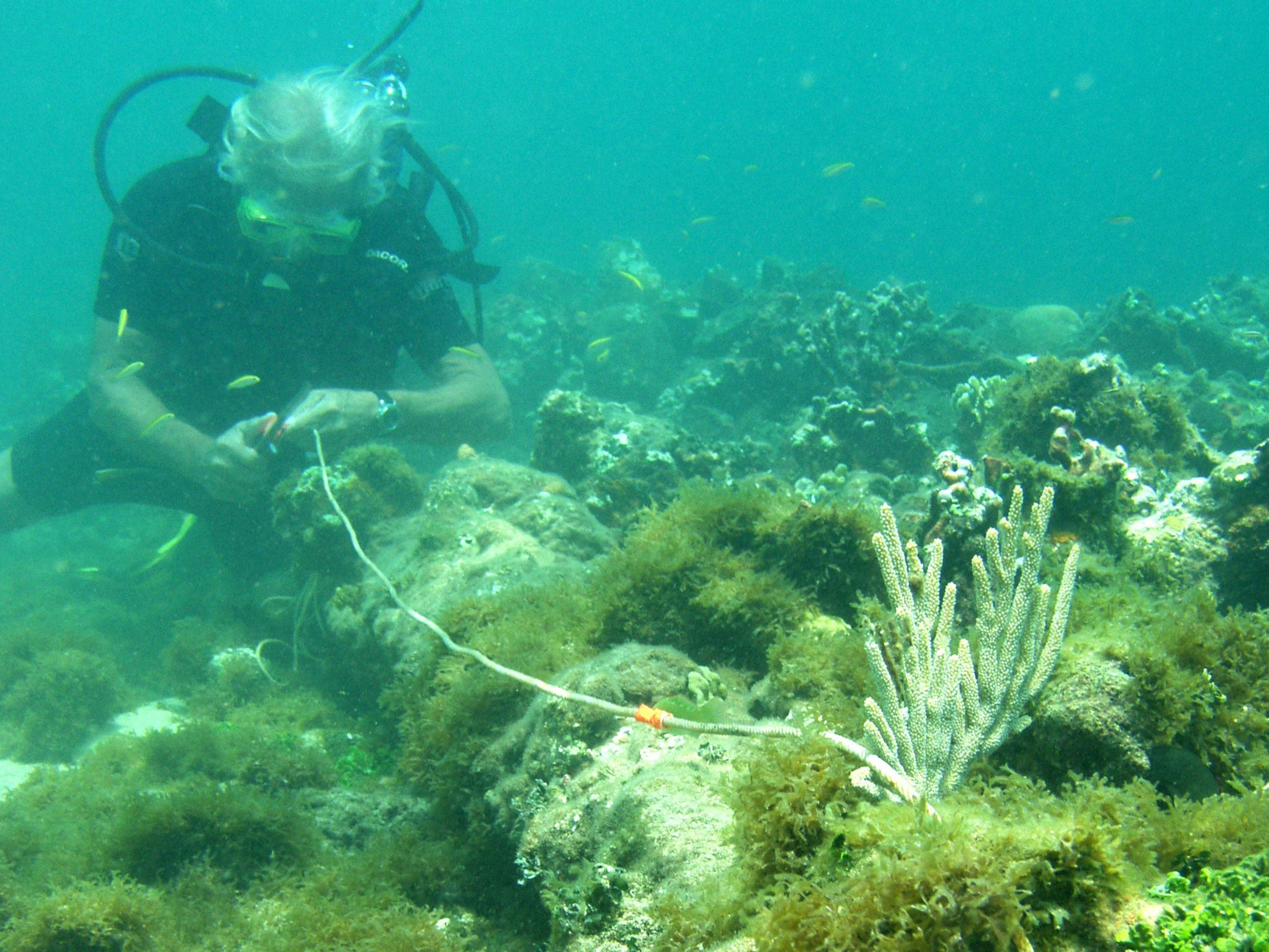 Archaeologists and other investigators worked on and photographed the site in 2003 - but did not at that stage appreciate its significance. However, after studying the historical and land-based archaeological record in greater detail, they realized the po