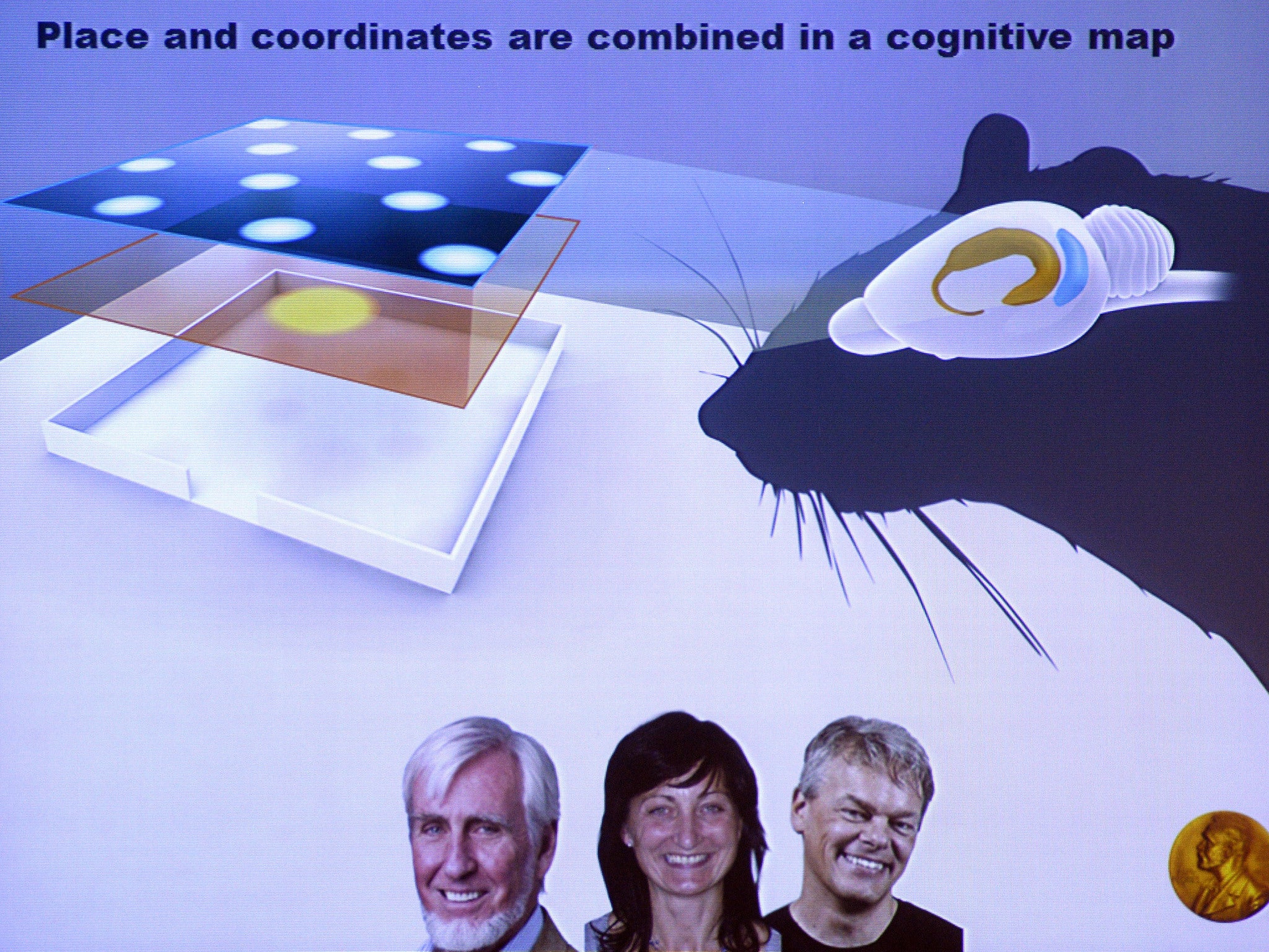 A presentation slide shows how rats map coordinates to a cognitive map JONATHAN NACKSTRAND/AFP/Getty Images