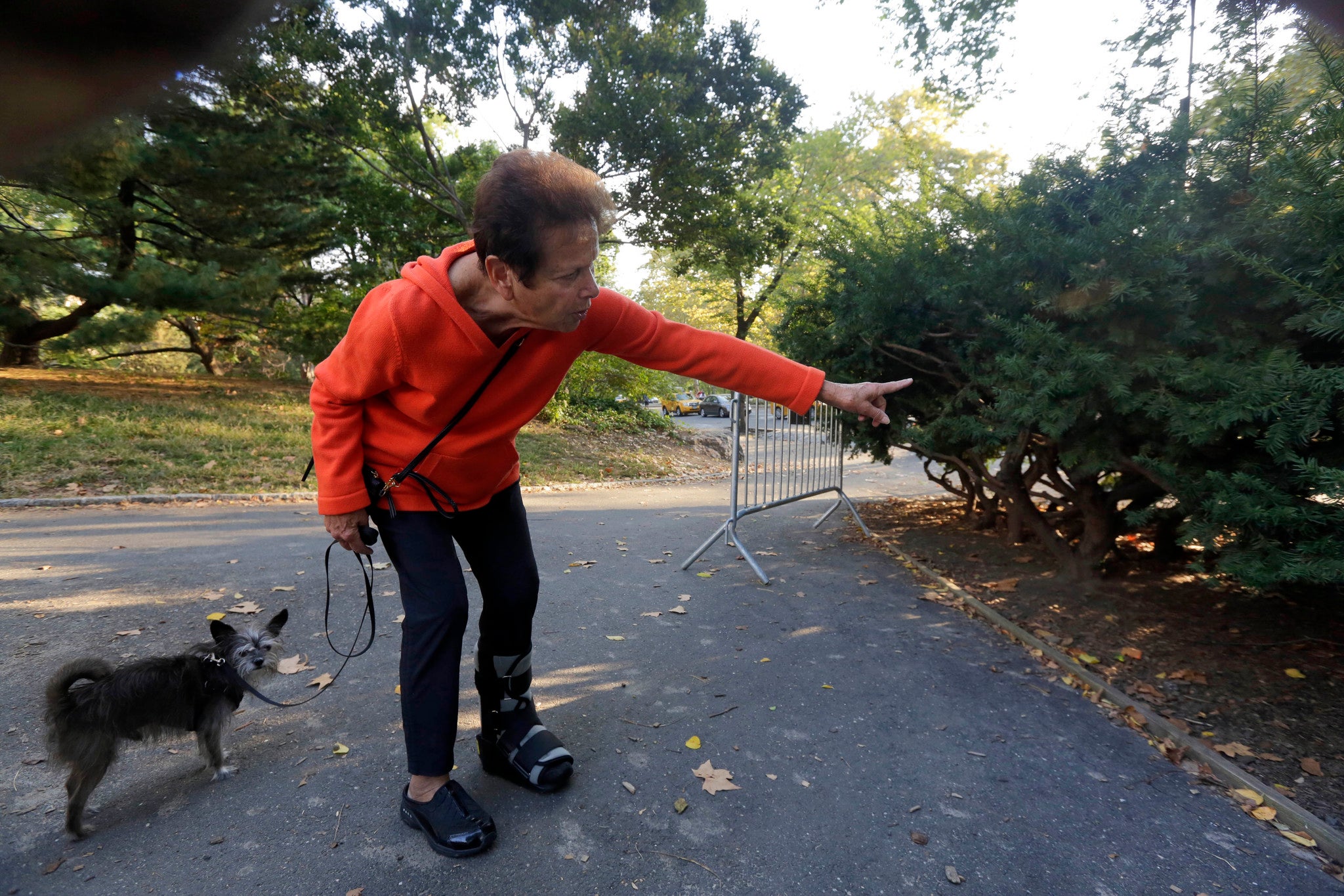 Florence Slatkin, with her dog Paco, points to the spot where she and a friend discovered the cub