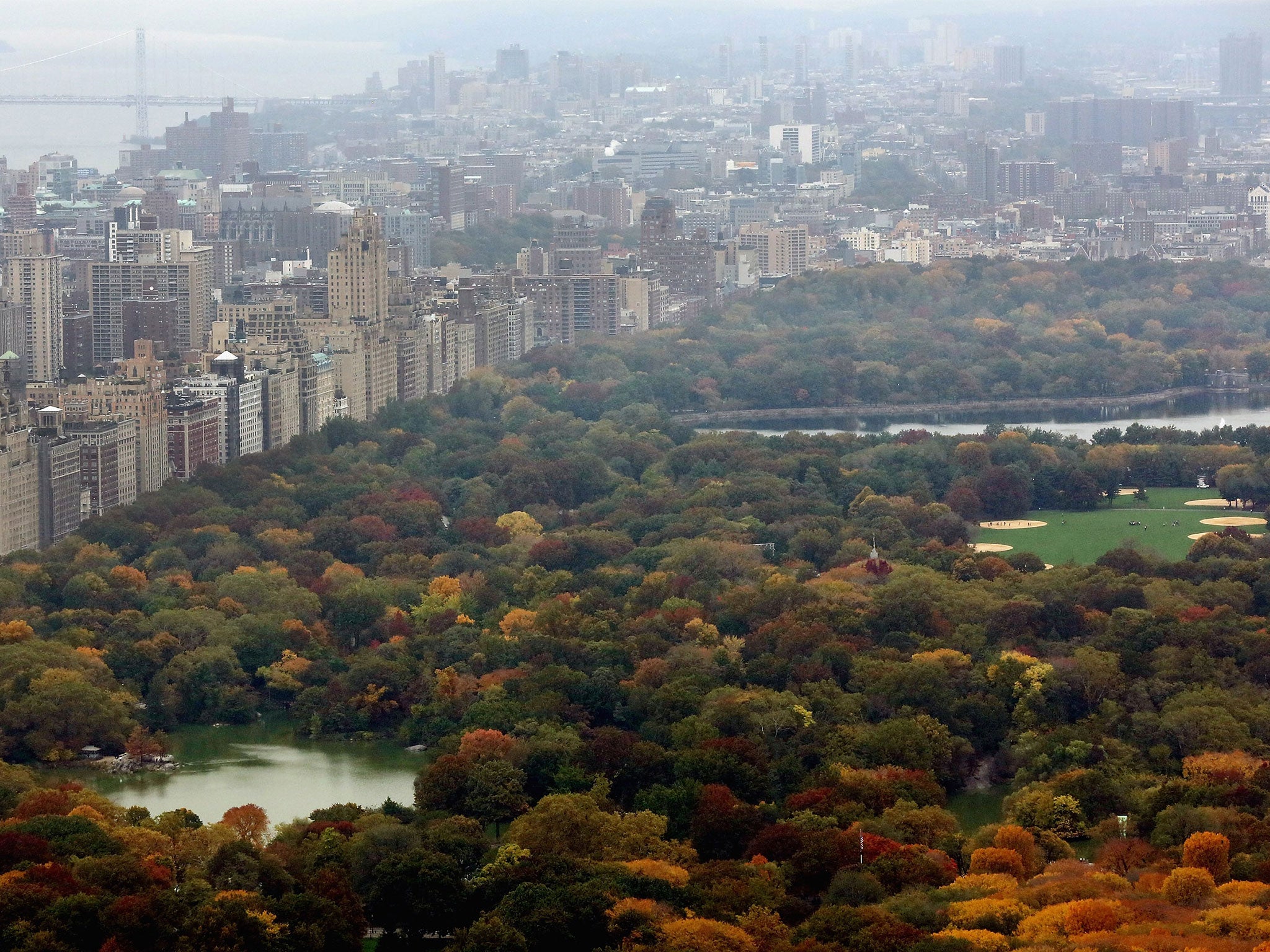 A New York City park advocate said it was 'unlikely' the bear would have entered the park on its own