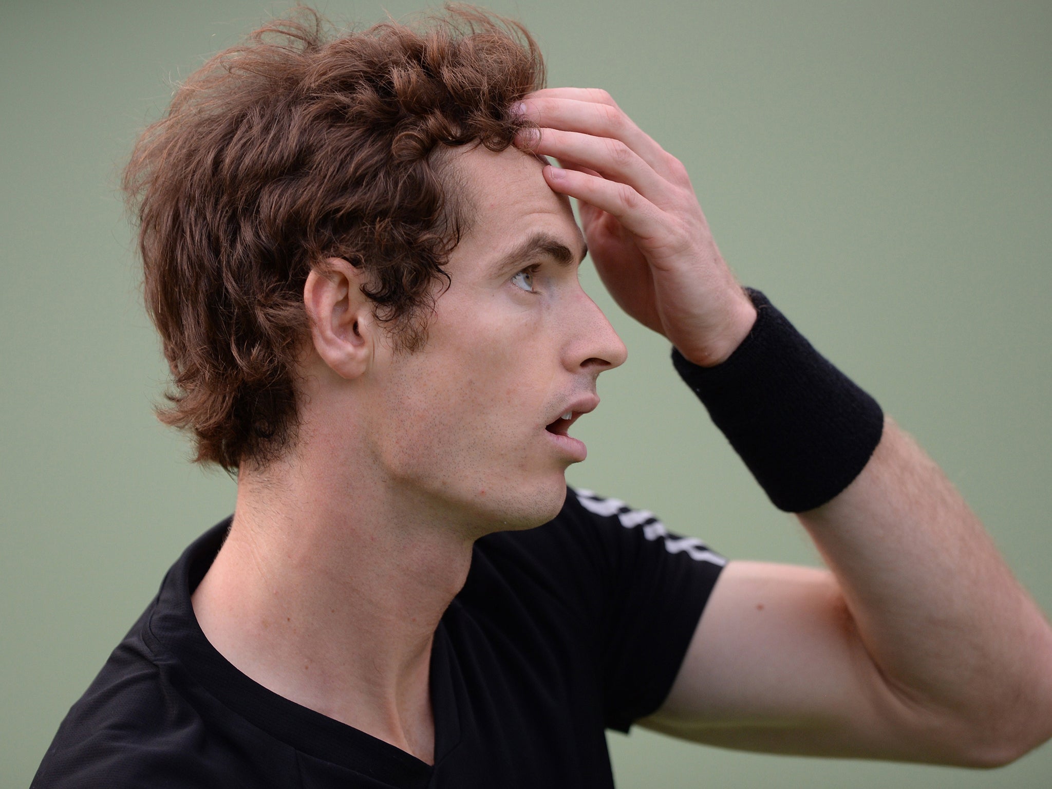 Andy Murray