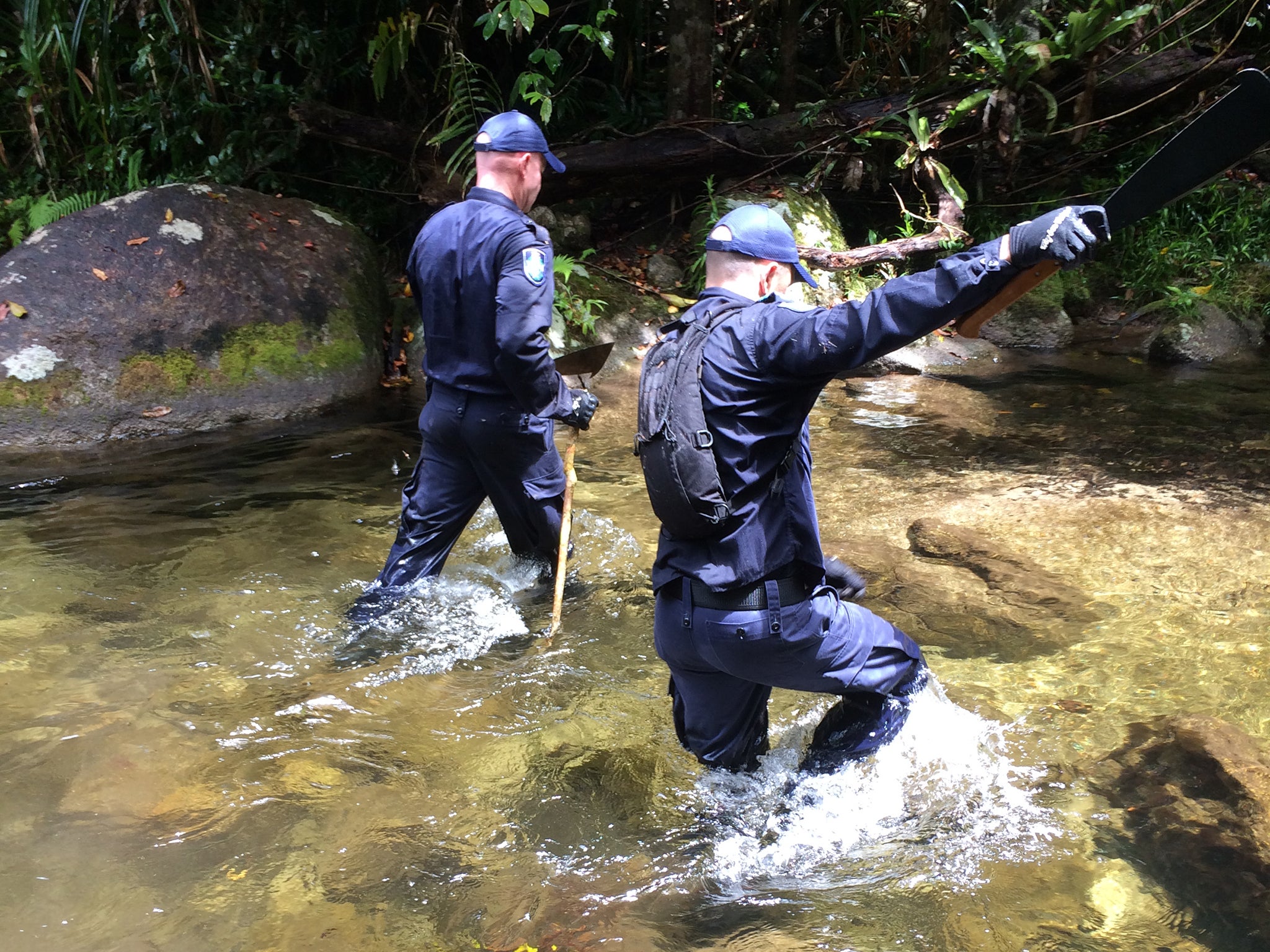 Search parties looking for Shannon