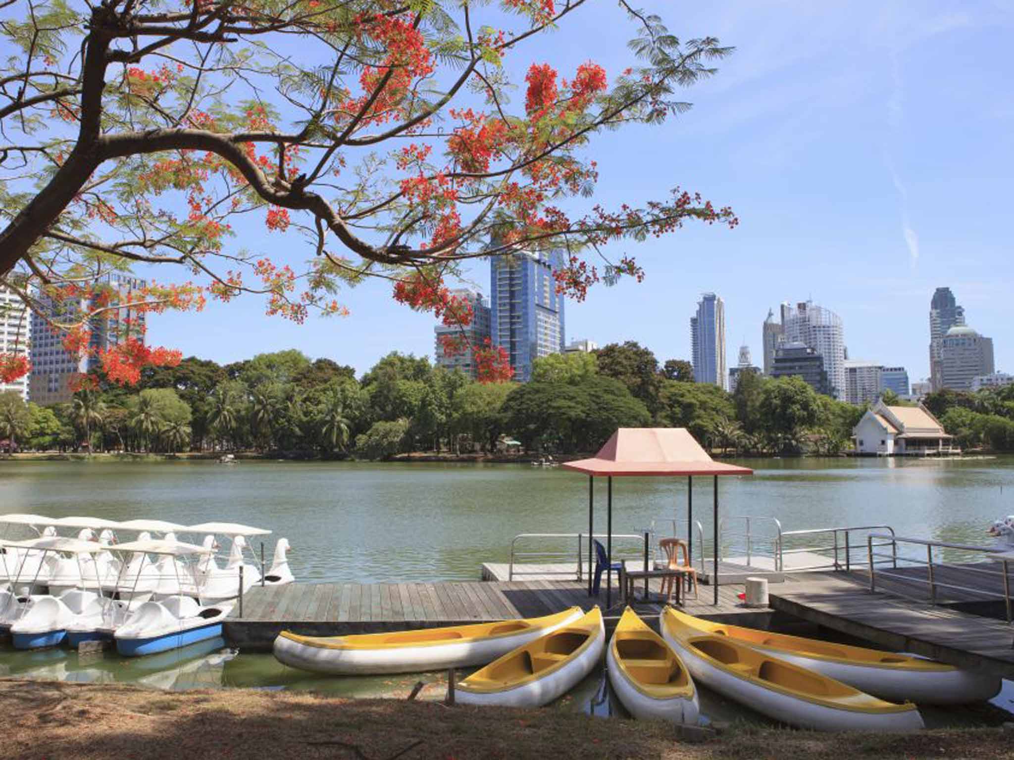 Green lung: Lumphini Park