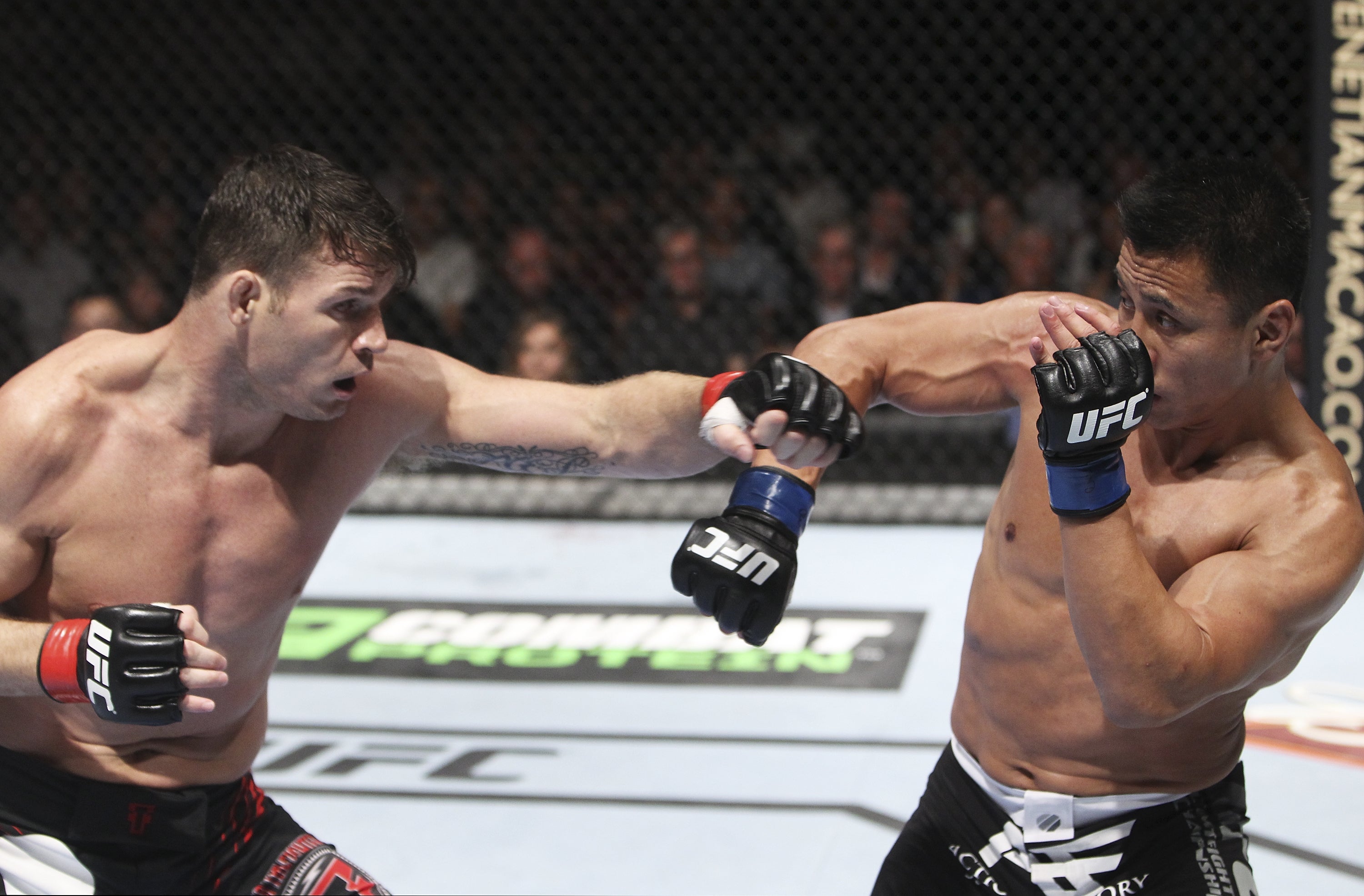 Bisping vs Le Mitch Viquez