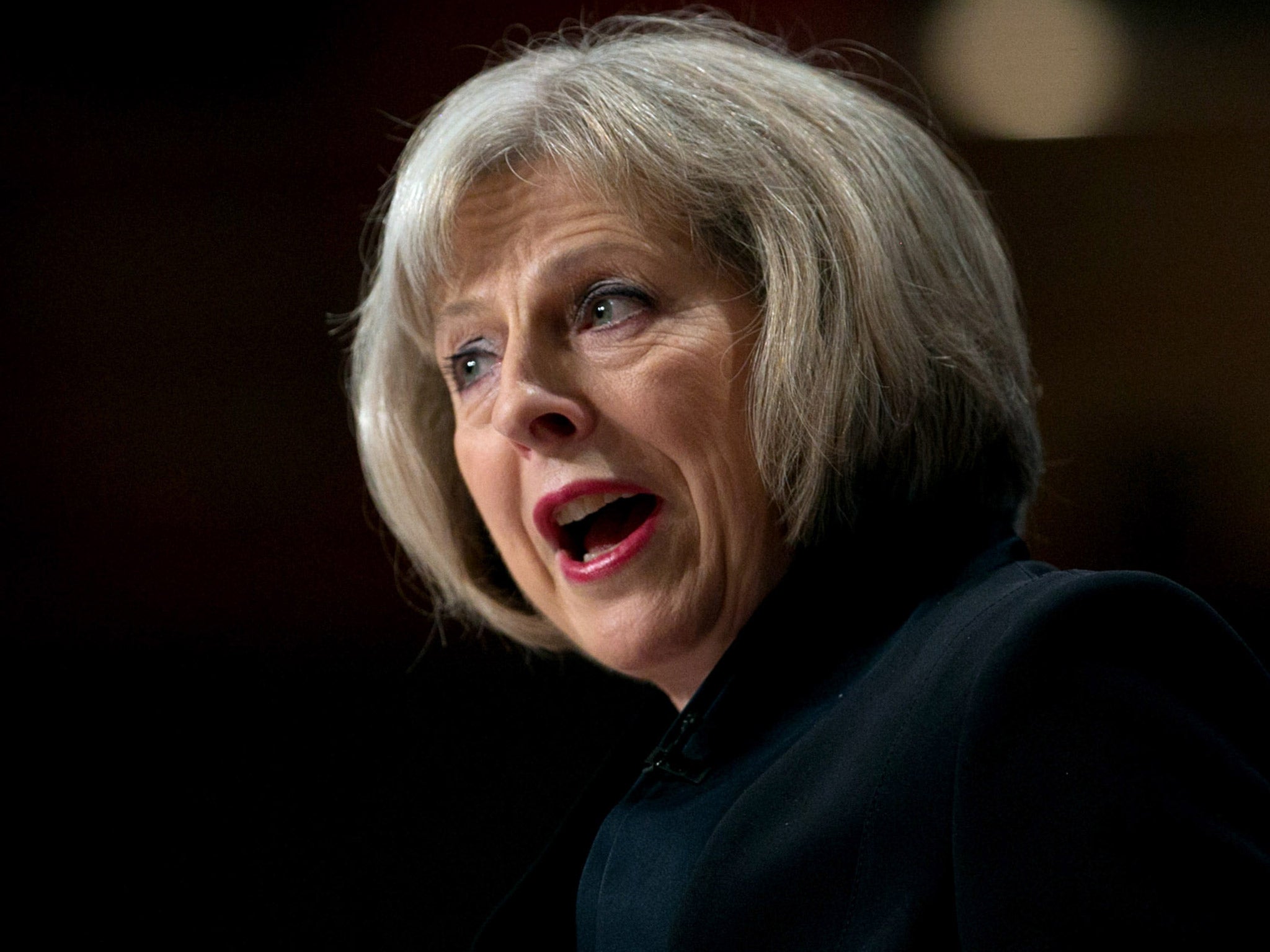 Theresa May, the Home Secretary