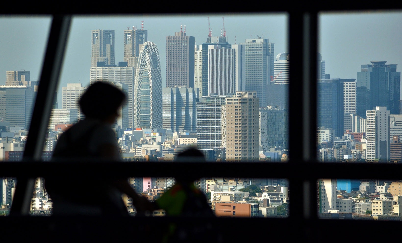 The AWG will examine the shift in the biophysical conditions of the Earth humans have brought about (Picture: Getty)