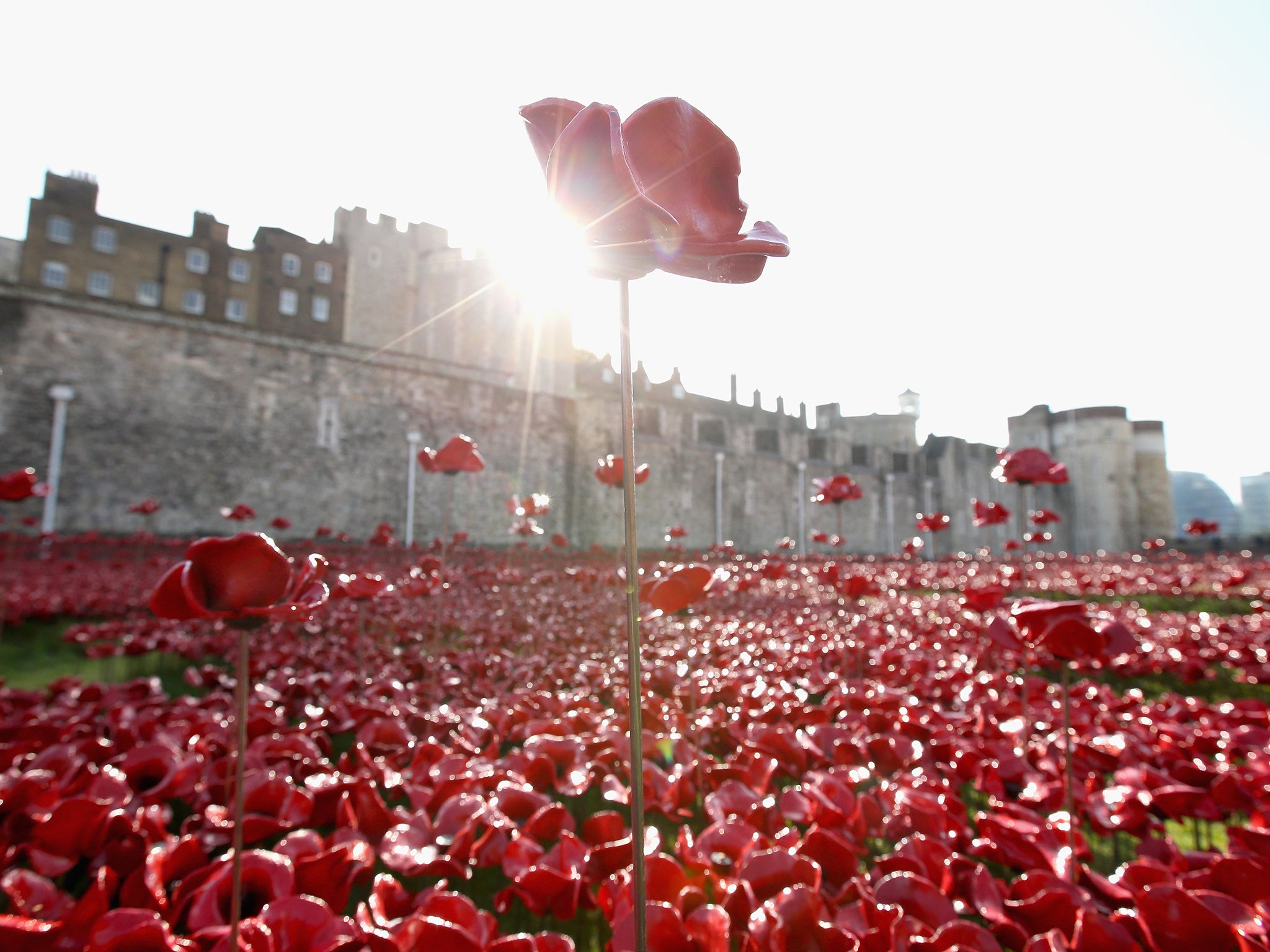 A general view at the 'Blood Swept Lands and Seas of Red' evolving art installation at the Tower of London