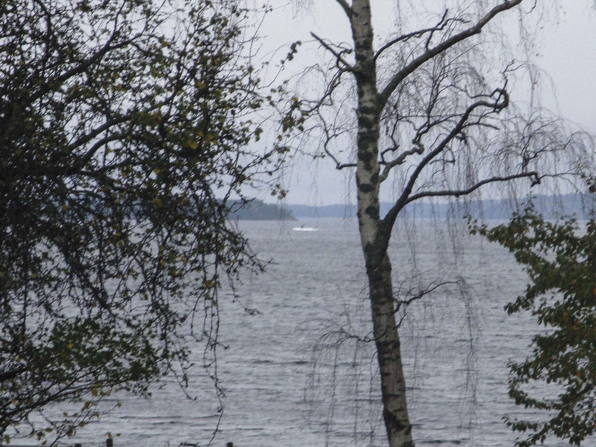 This amateur photo released by the Swedish military shows a 'man-made object' in the water that sparked the hunt