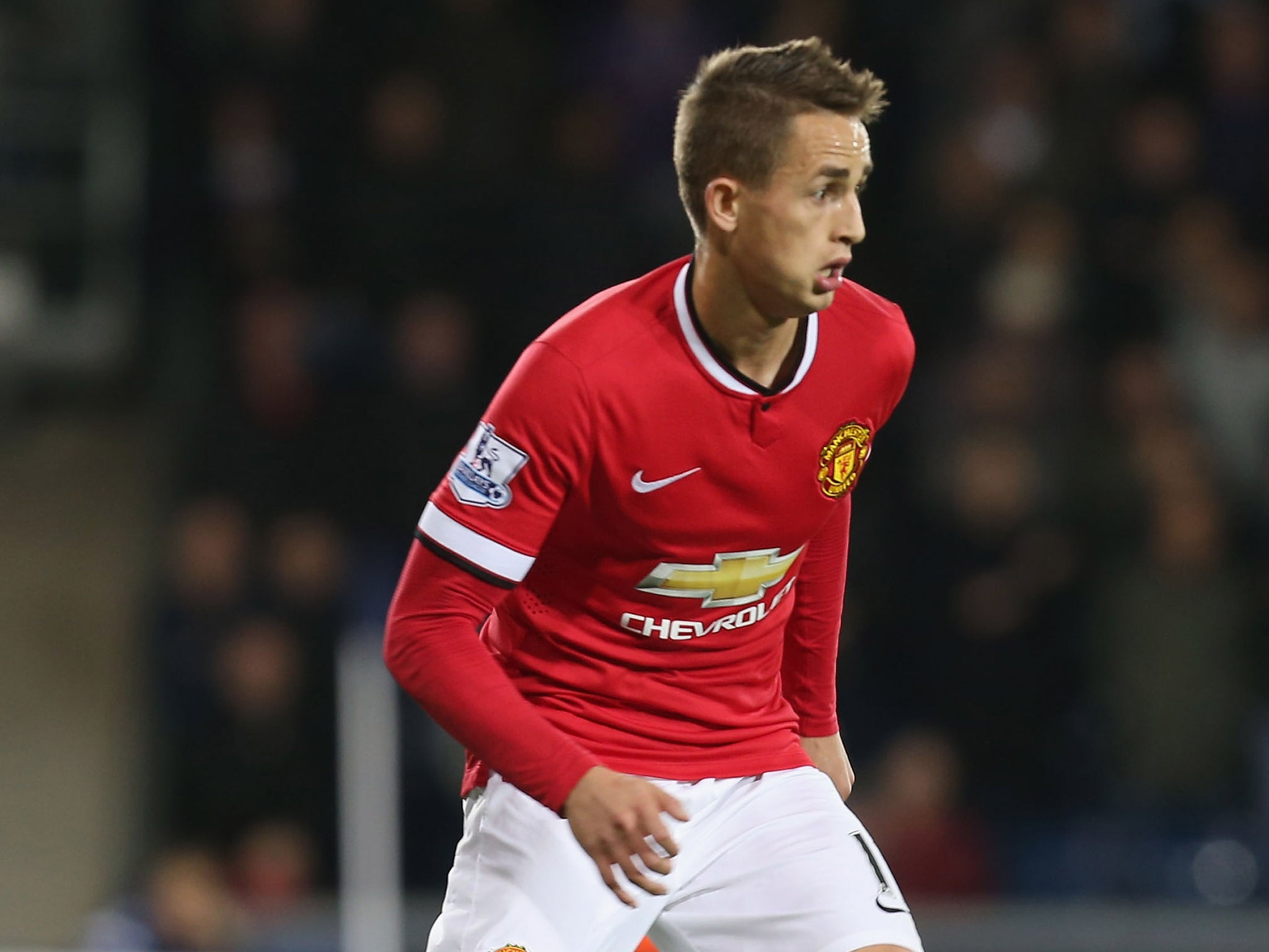 Januzaj will not leave United this month