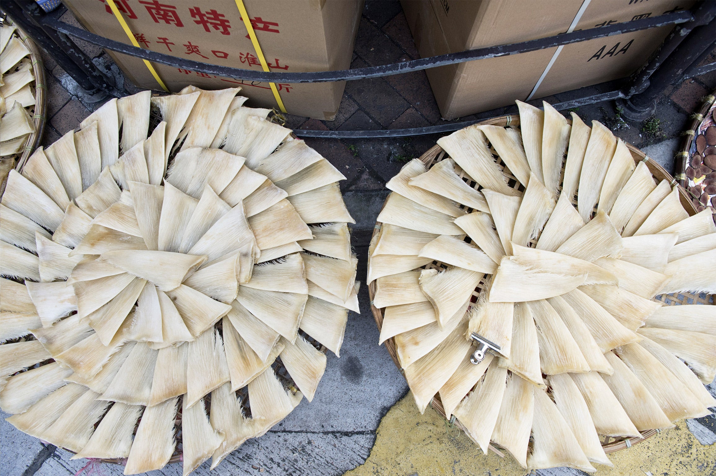 Shark fins are laid out to dry on a street corner in Hong Kong (Getty)