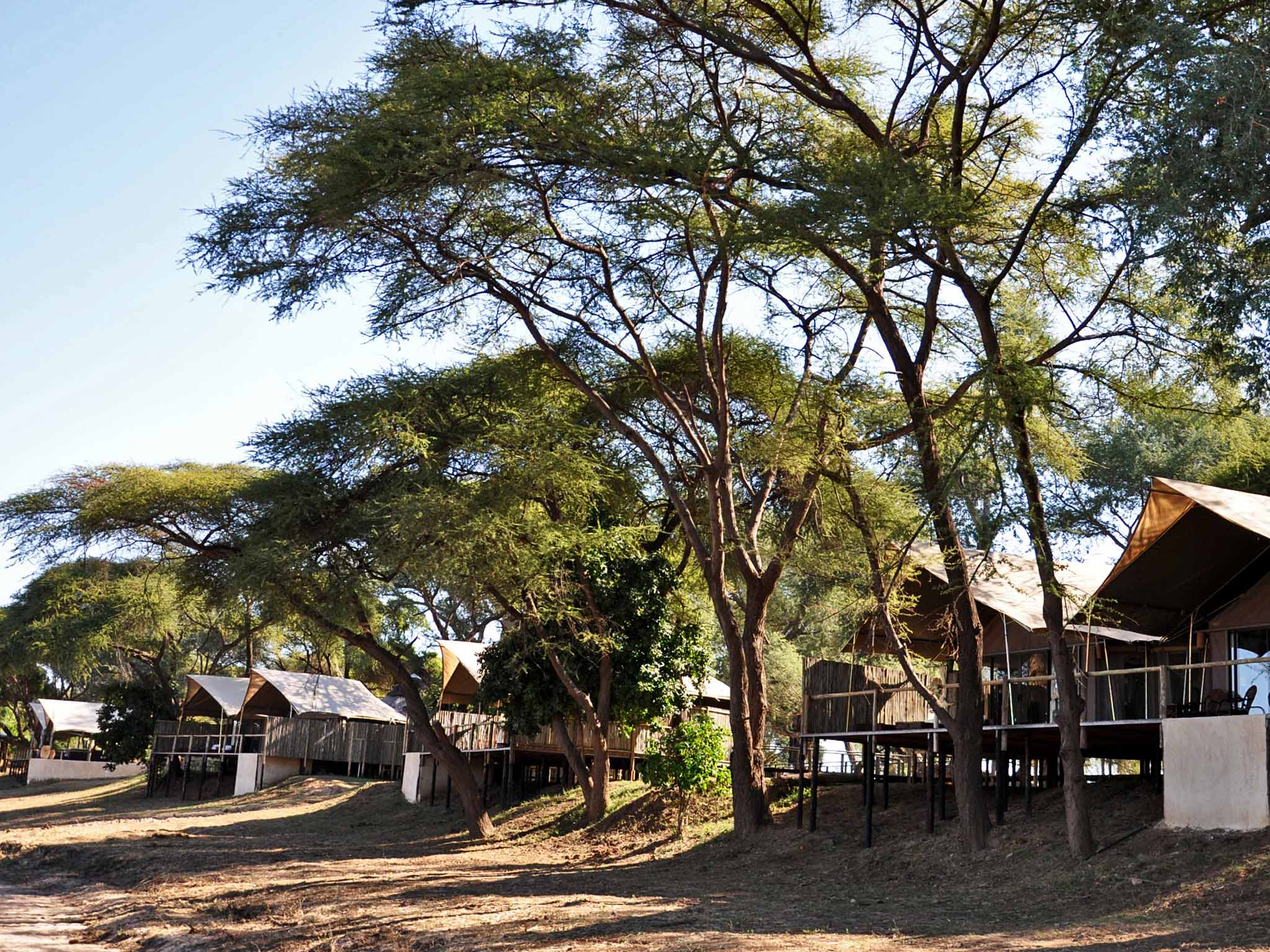 Under cover: tents at Anabezi Lodge