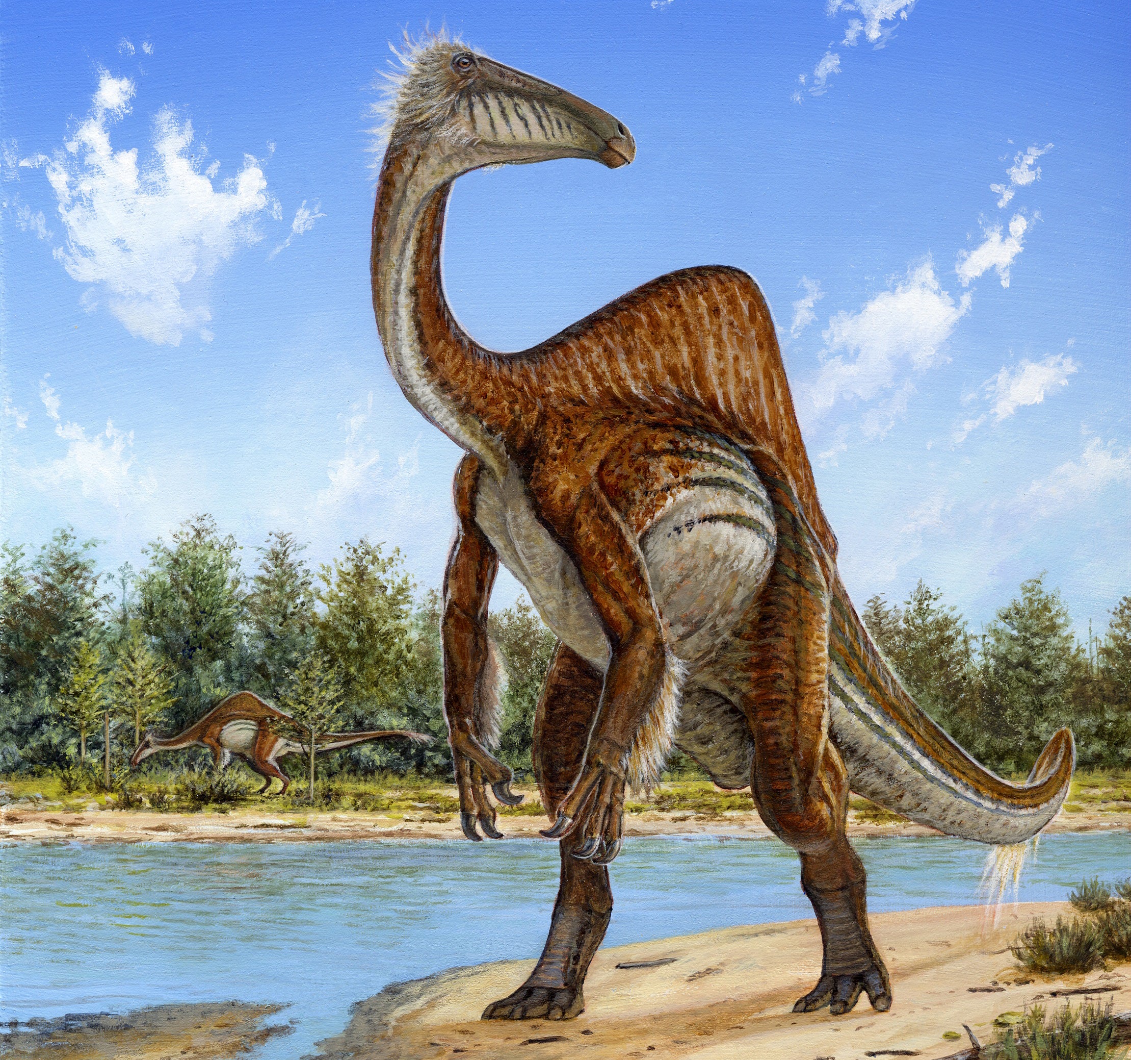 A sketch of Deinocheirus mirificus by Michael Skrepnick, Dinosaurs in Art, Nature Publishing Group.