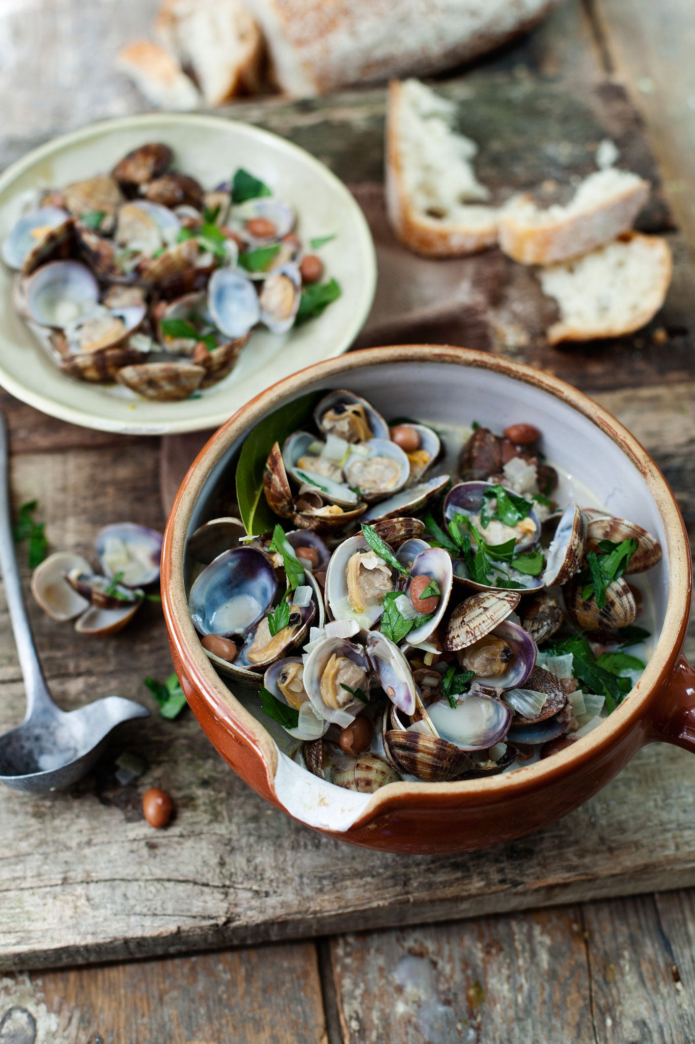 Borlotti bean and clam soup