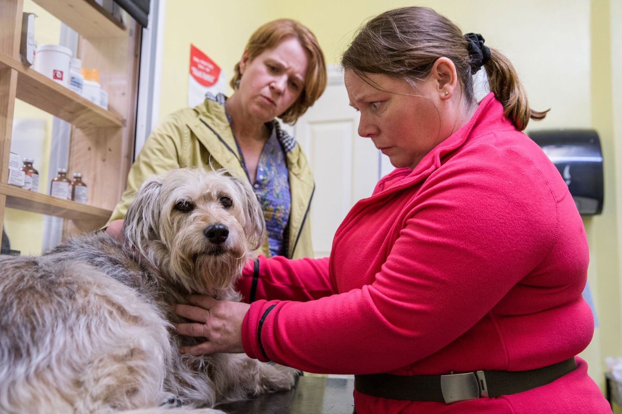 Scanlan and Pepperdine were determined to use real dogs and their real owners in the show