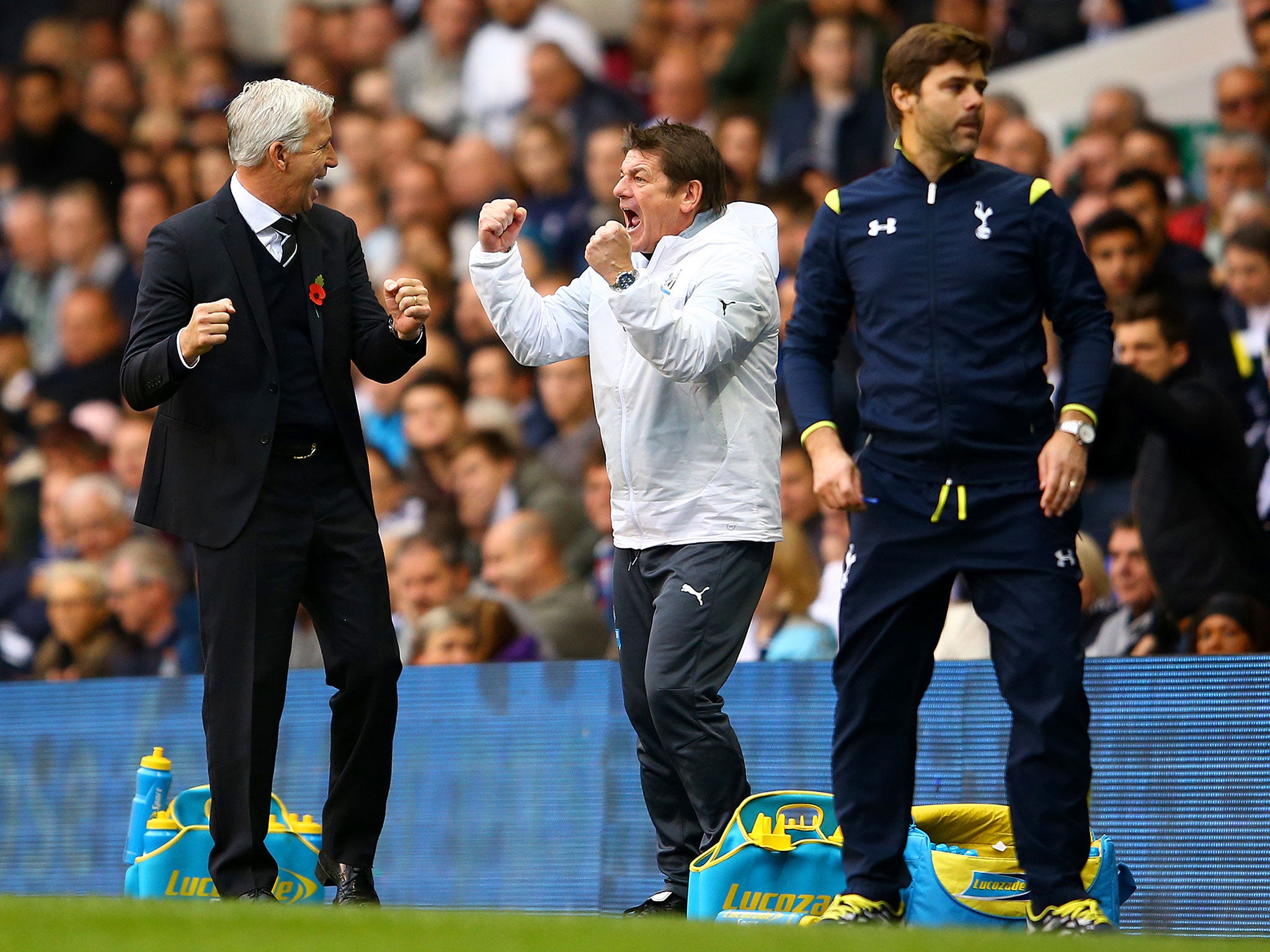 Alan Pardew and John Carver celebrate a Newcastle goal as Mauricio Pochettino looks on in despair