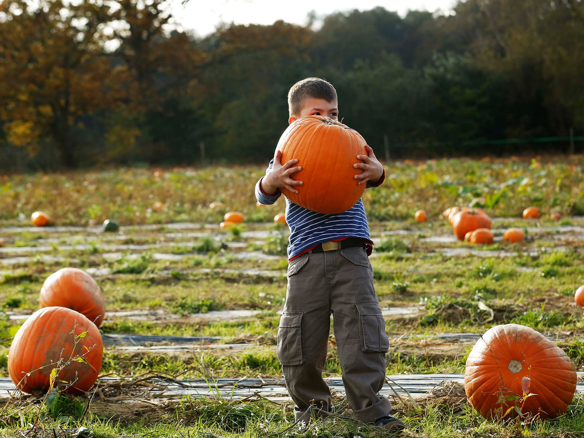 Today could set a record for the warmest Halloween ever