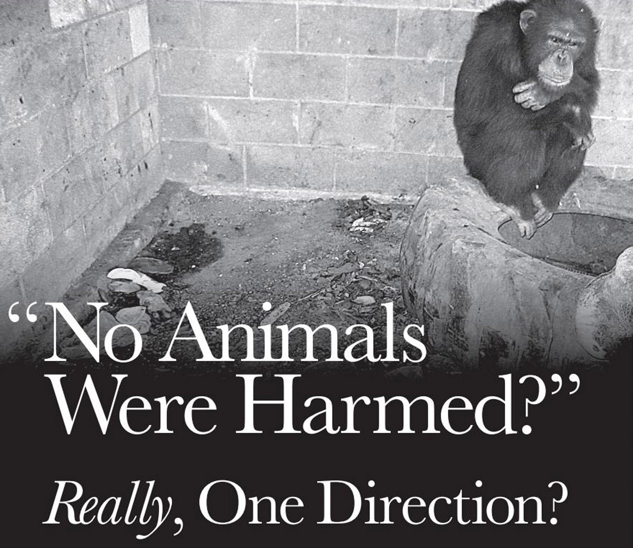 A Peta advert targeted at One Direction in The Hollywood Reporter