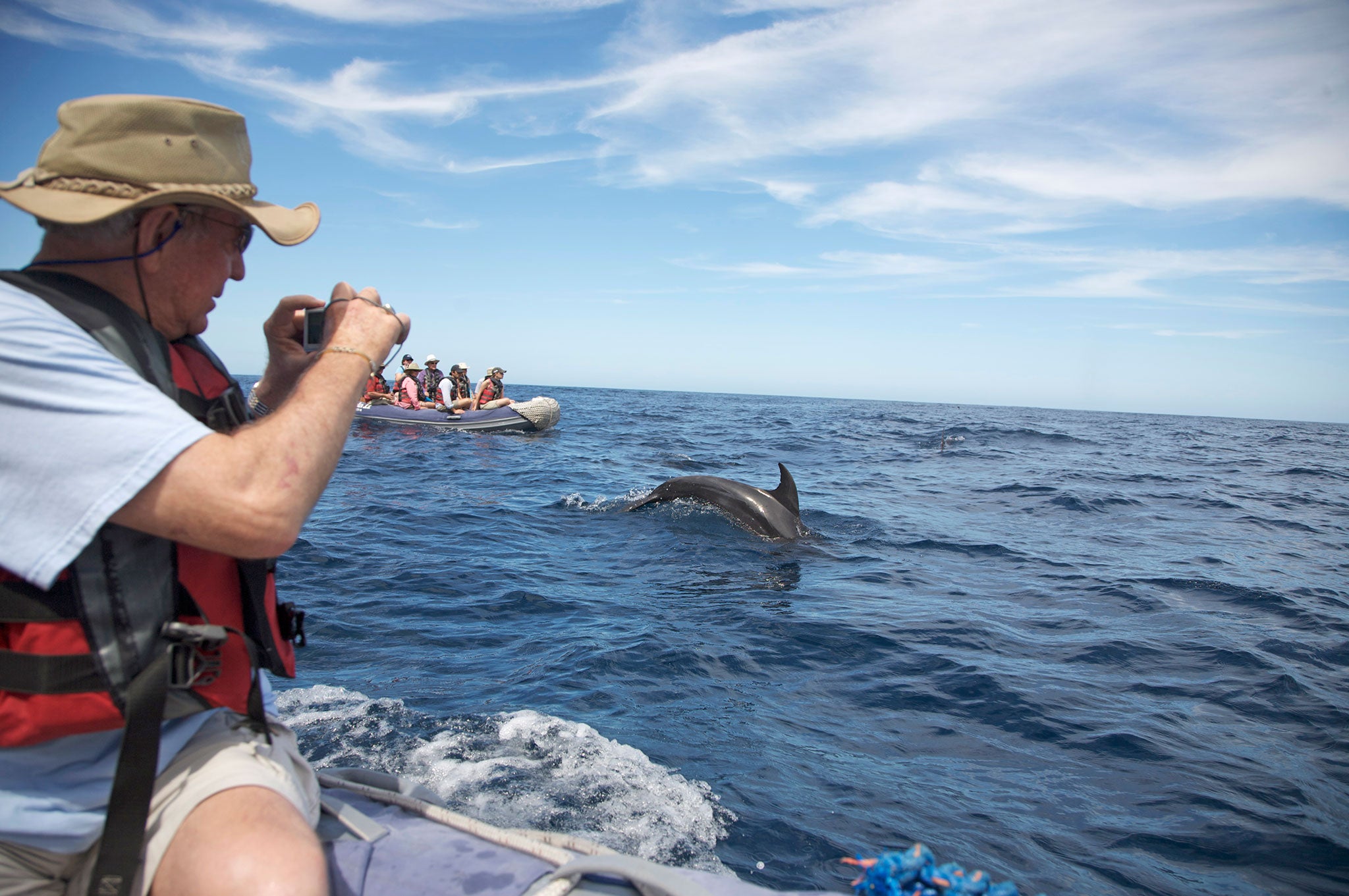 Dolphins in the Galapagos islands