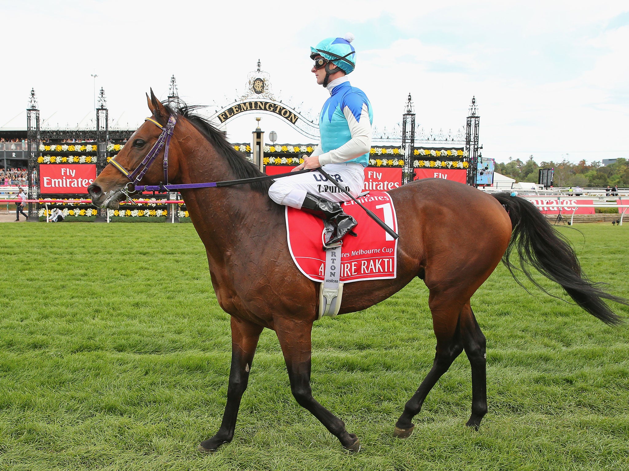 Admire Rakti, ridden by Zac Purton, had to be put down after the race