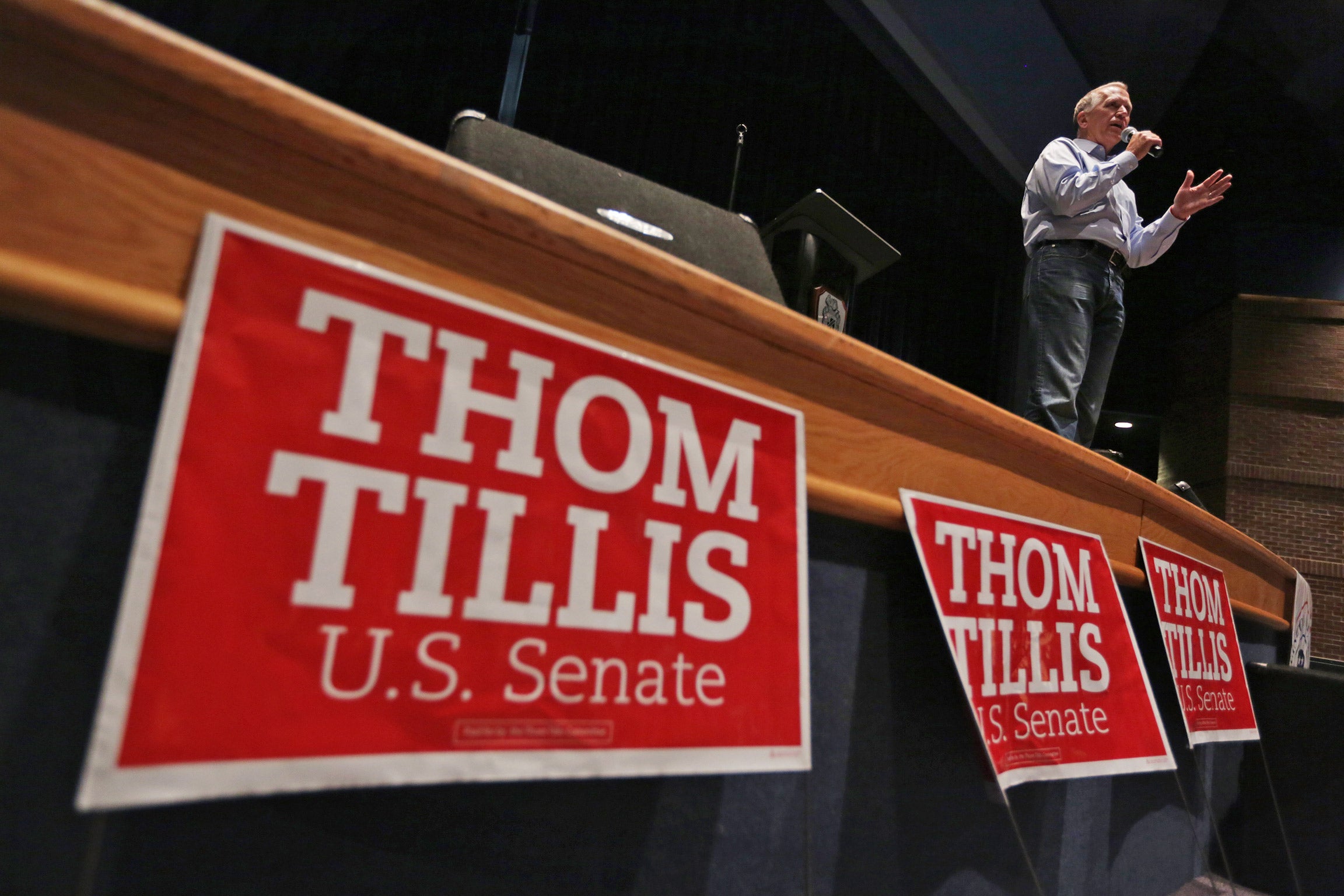 Republican US Senate candidate Thom Tillis speaks during a rally in Lincolnton, North Carolina (Getty)