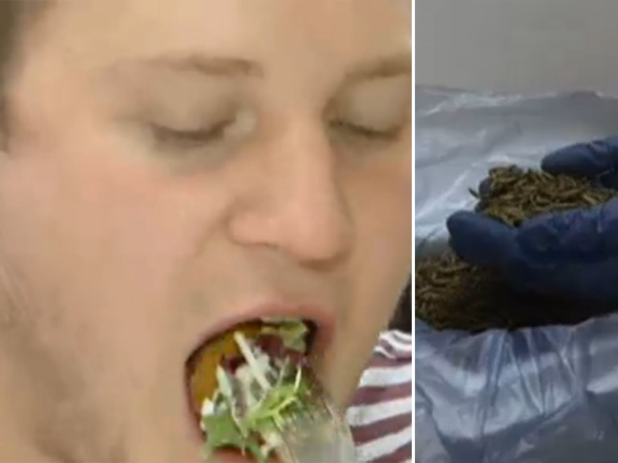 Are insects our food future?