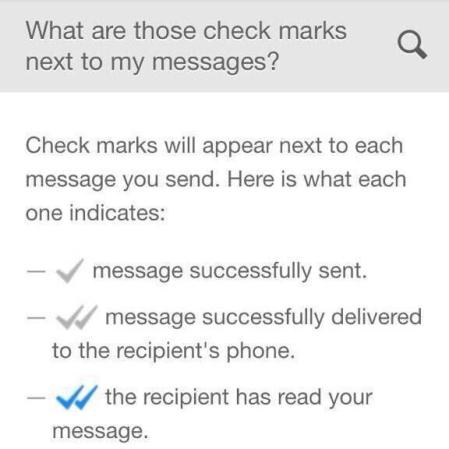 Check marks explained. Image: WhatsApp.