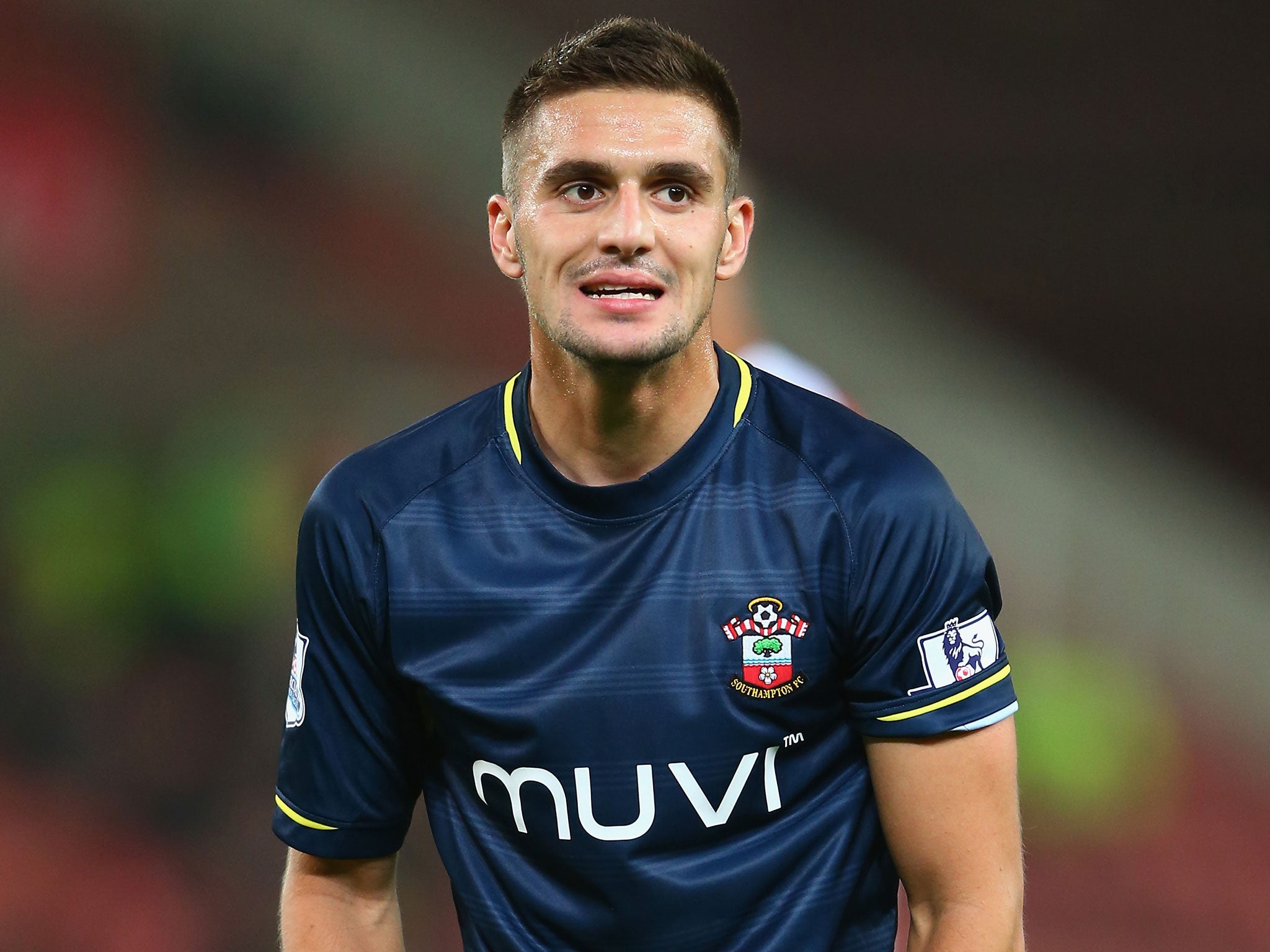 Tadic has gone a long way to replacing the hole left by Adam Lallana's departure