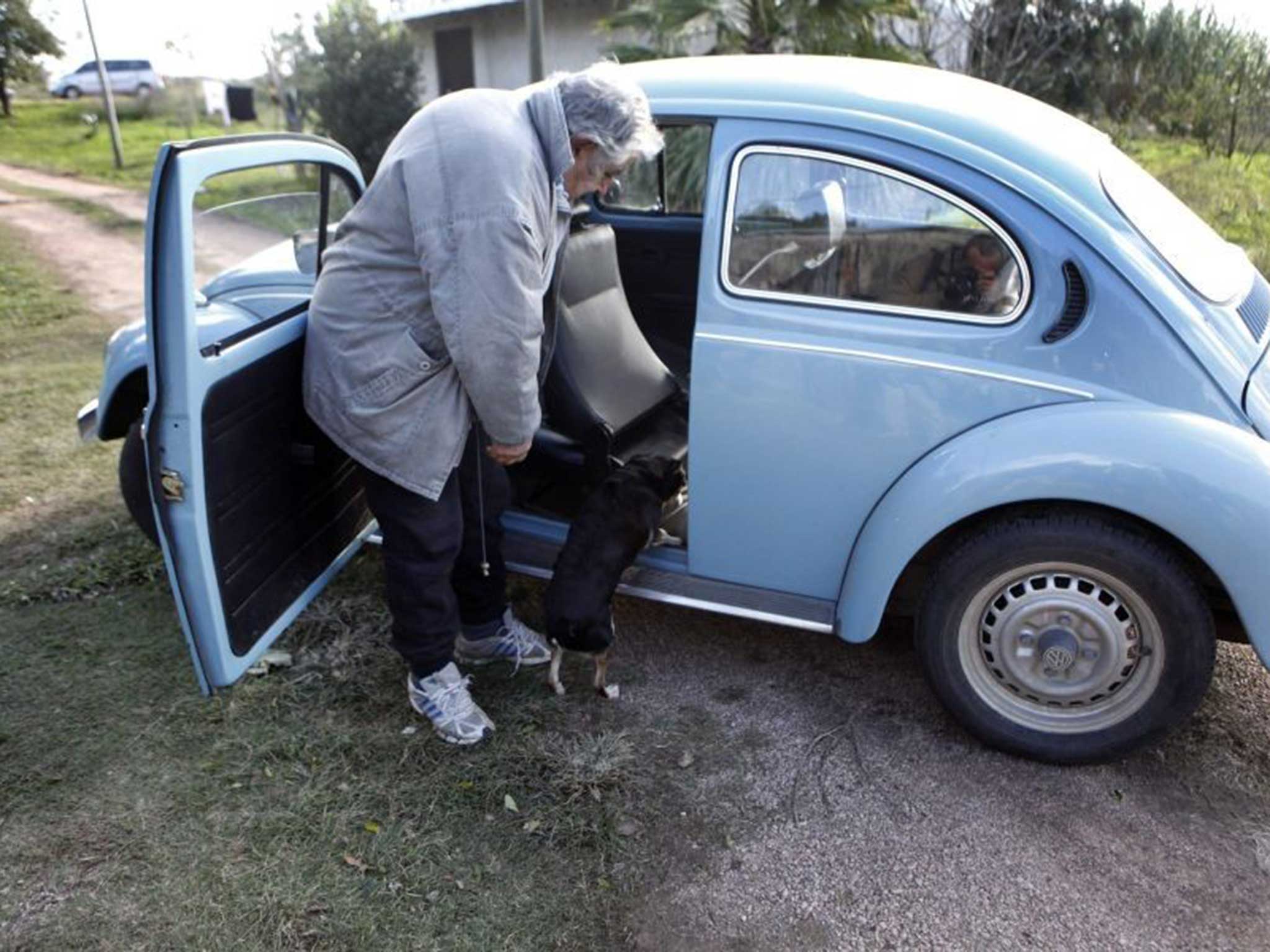 President Jose Mujica helps his three-legged dog Manuela into his VW Beetle