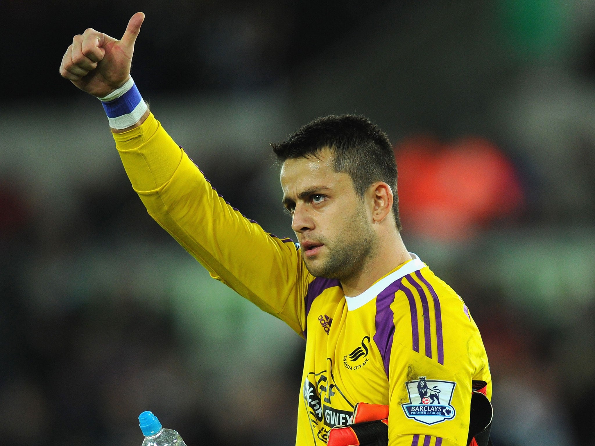 Pride of place: Lukasz Fabianski has seen his dream come true at Swansea