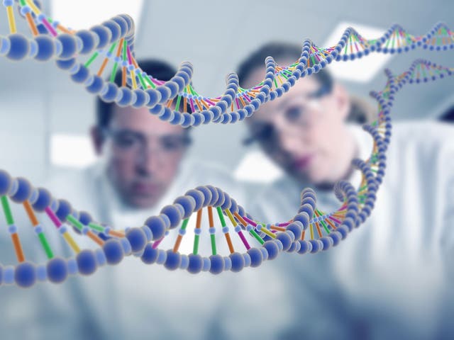 In humans, the ability to regulate the expression of genes through thoughts alone could open up an entirely new avenue for medicine.