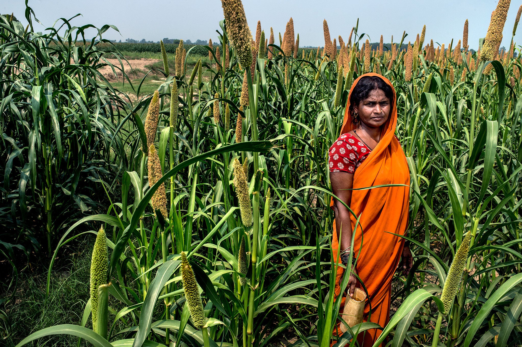 Many girls and women in rural India have no access to toilets and use local fields